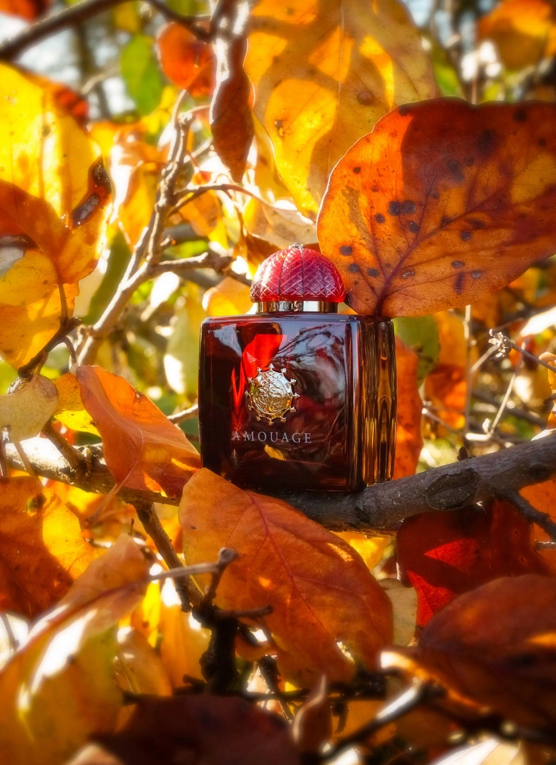 Amouage Lyric Woman