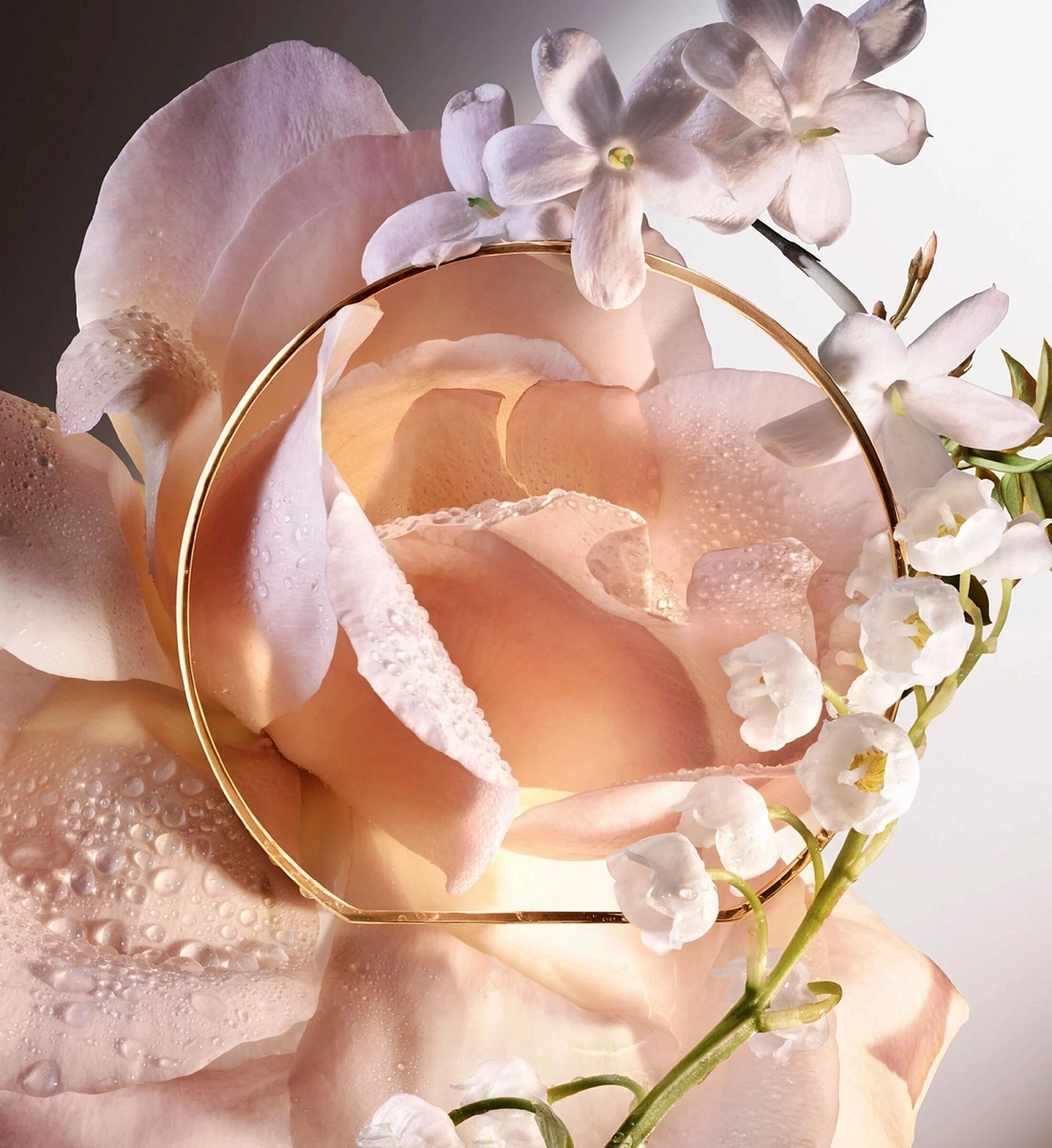 Lancôme Absolue 6AM Rose