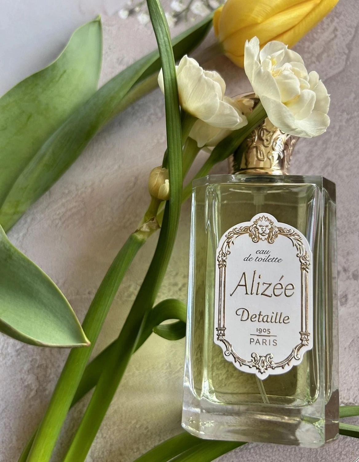 Detaille Alizee