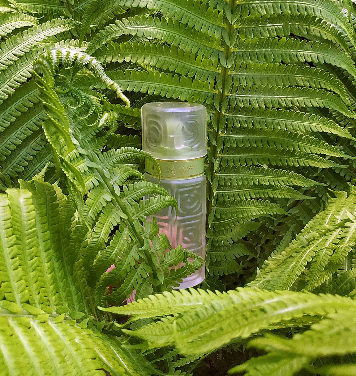 O de Lancôme