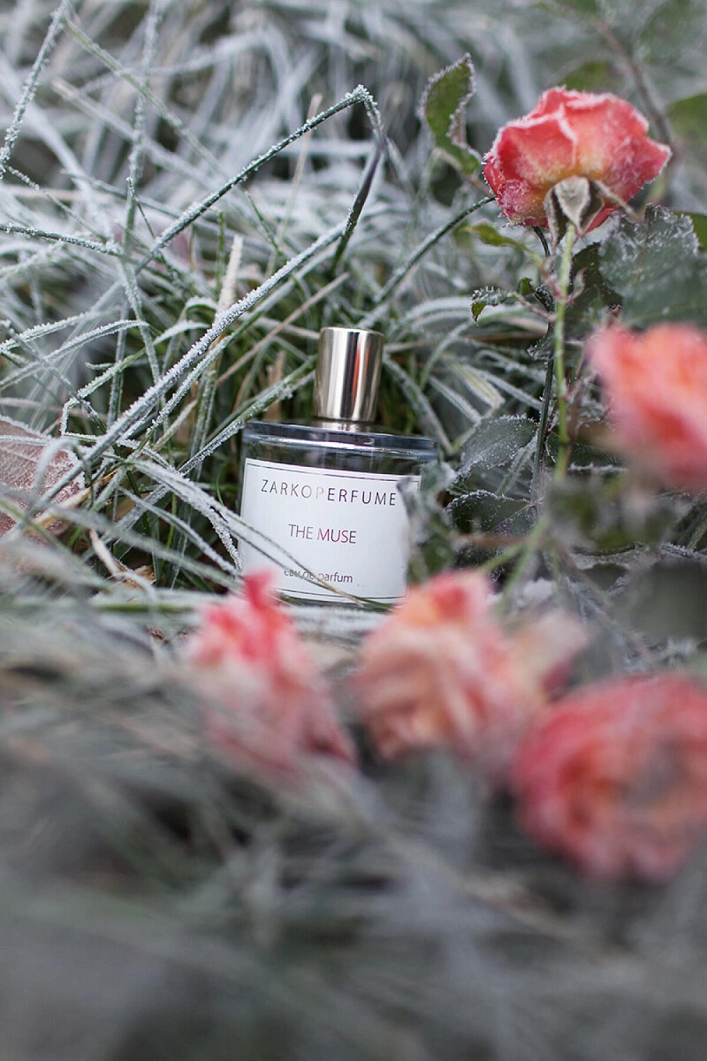 ZarkoPerfume The Muse