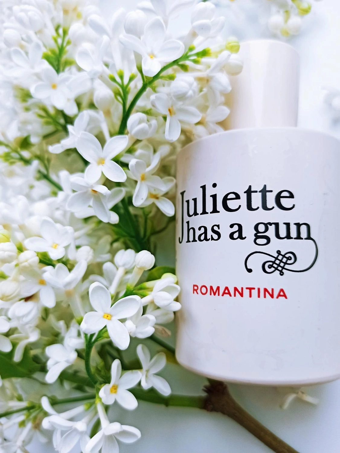Juliette Has a Gun Romantina