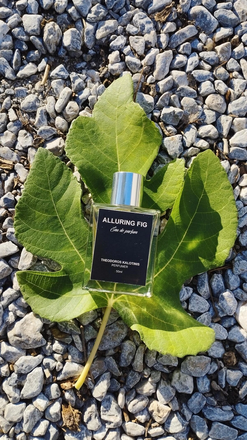 Theodoros Kalotinis Alluring Fig
