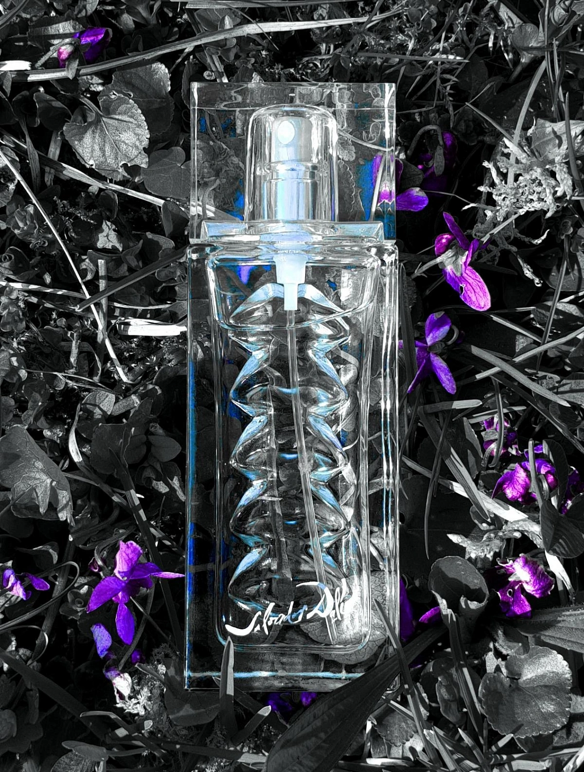 Salvador Dalí Eau de Rubylips