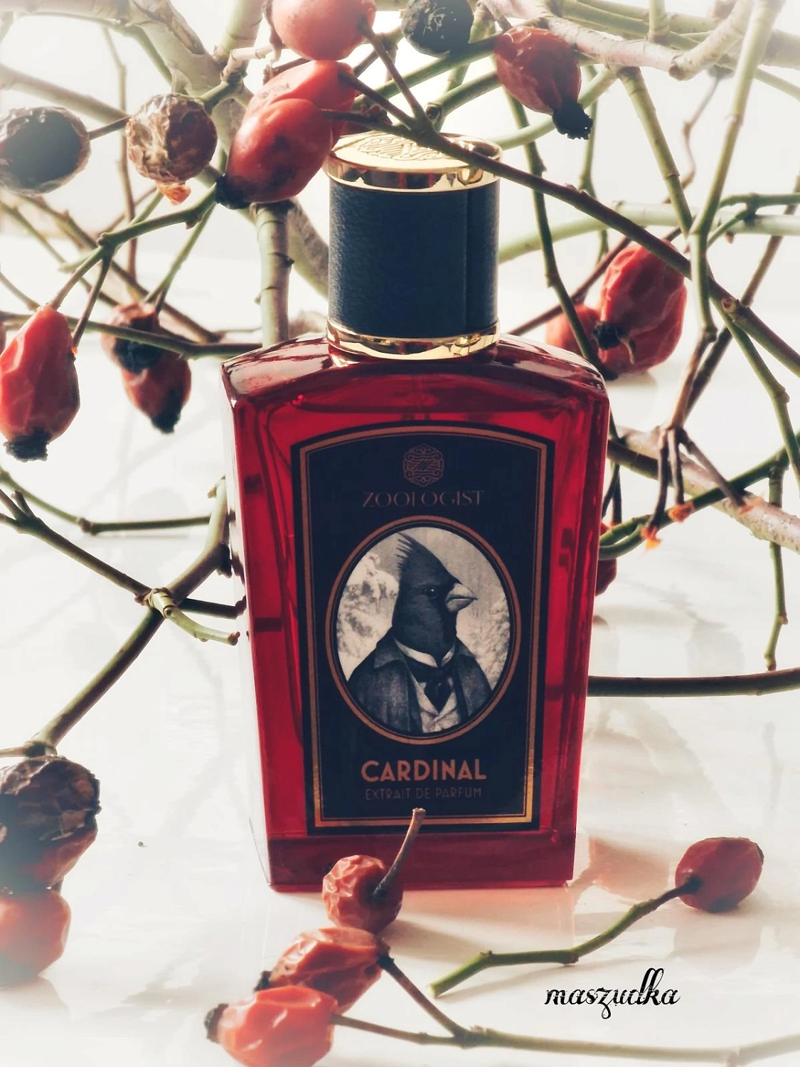 Zoologist Perfumes Cardinal