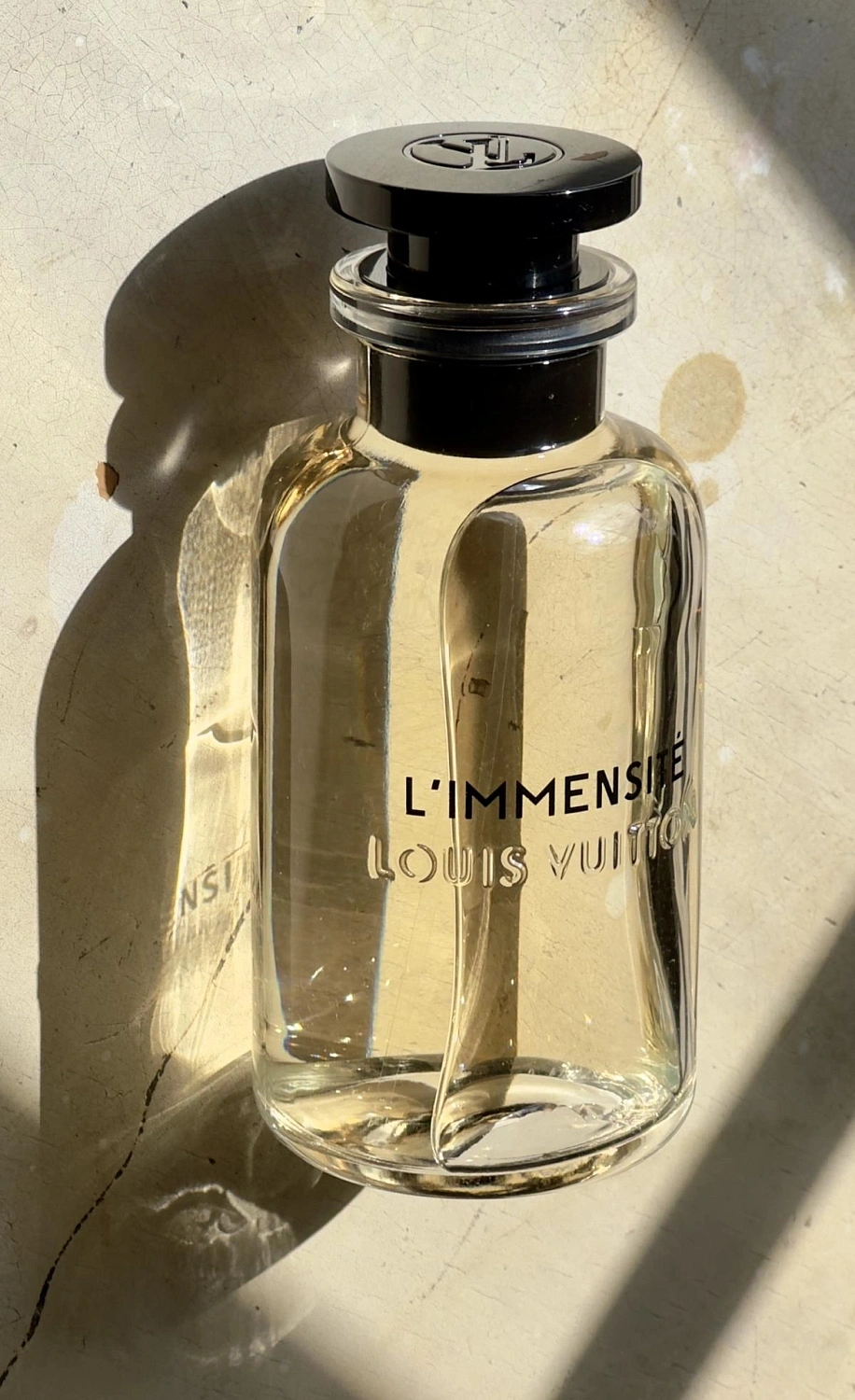 Louis Vuitton L'Immensité