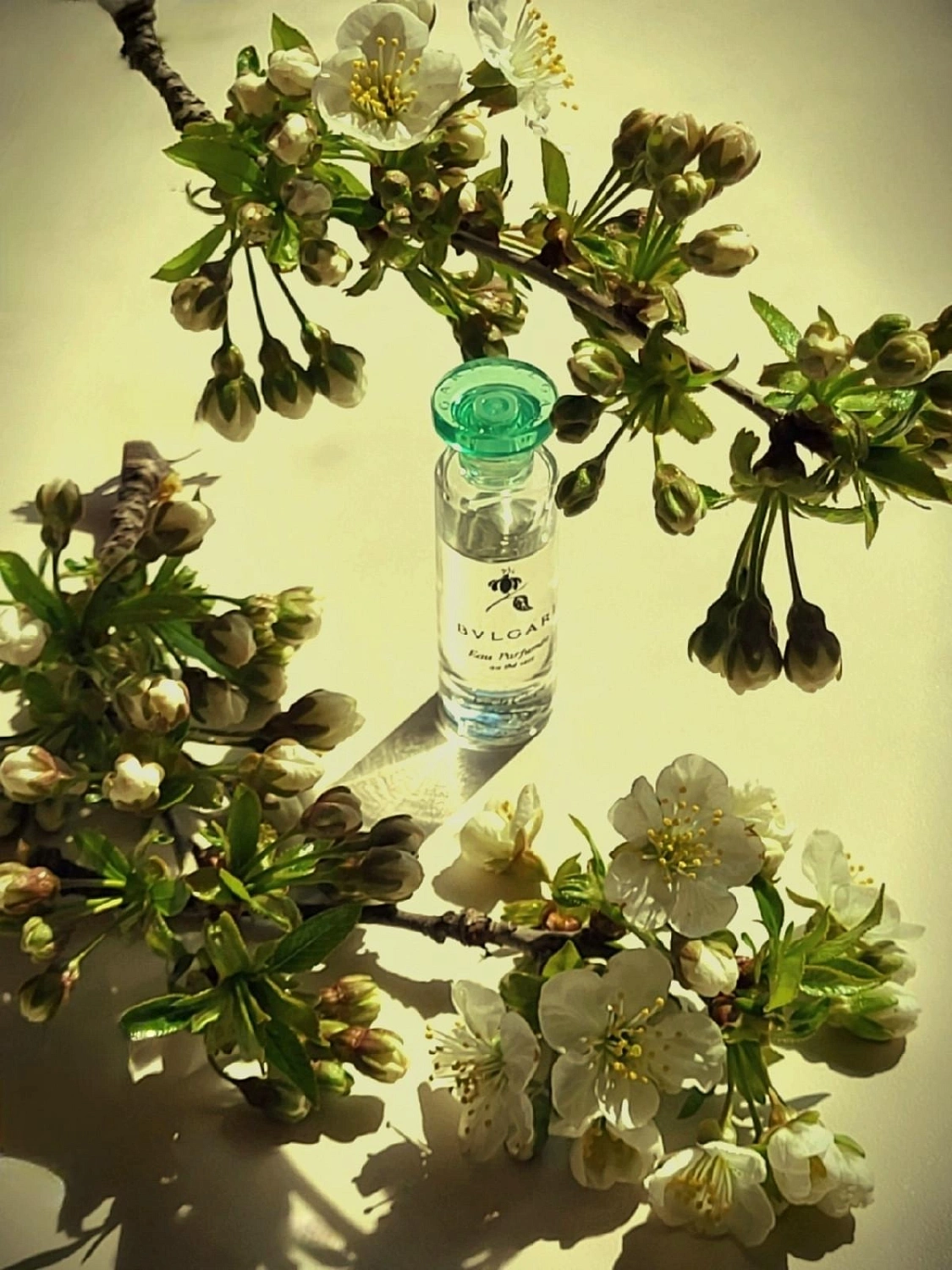 Bvlgari Eau Parfumee Au The Vert