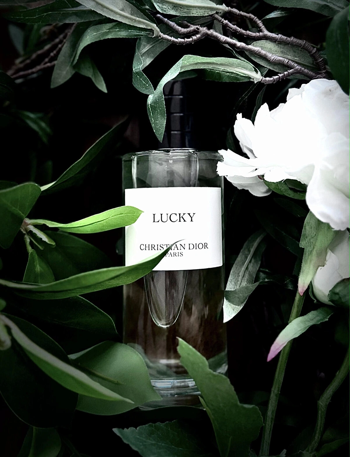 Christian Dior Lucky