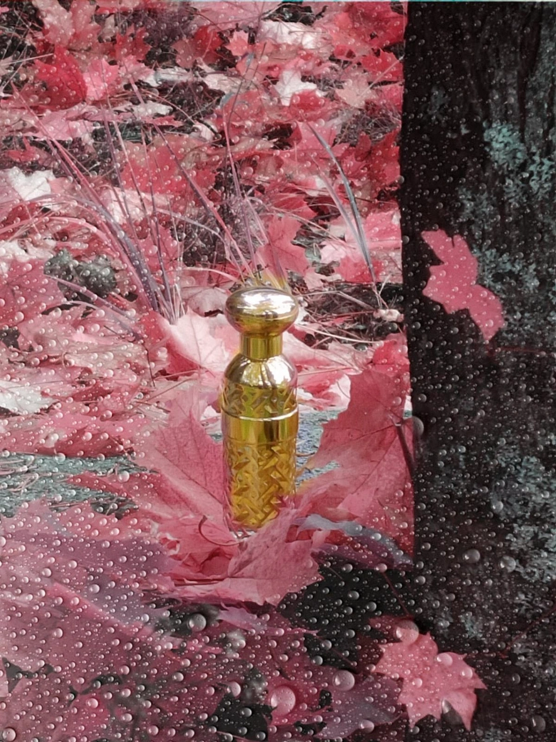 Guerlain Jicky