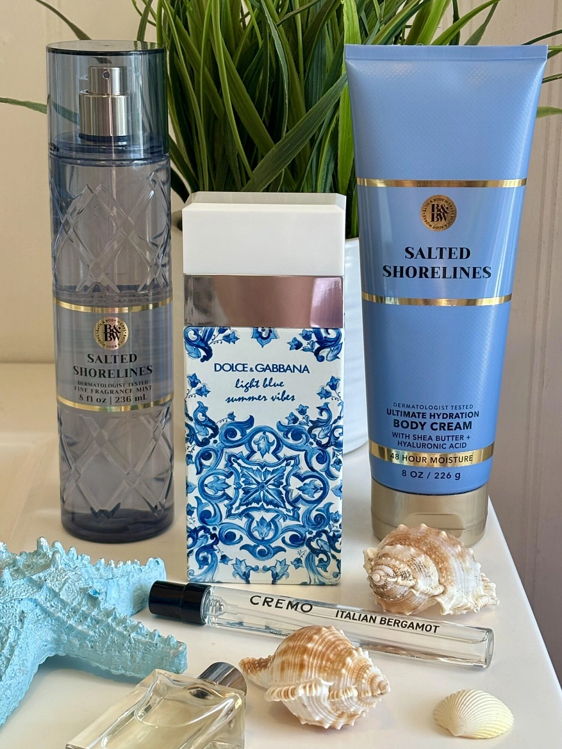 Dolce & Gabbana Light Blue Summer Vibes