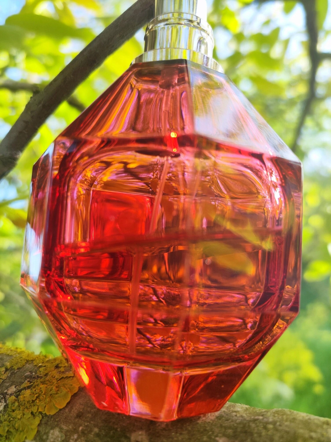 Viktor & Rolf Flowerbomb Ruby Orchid