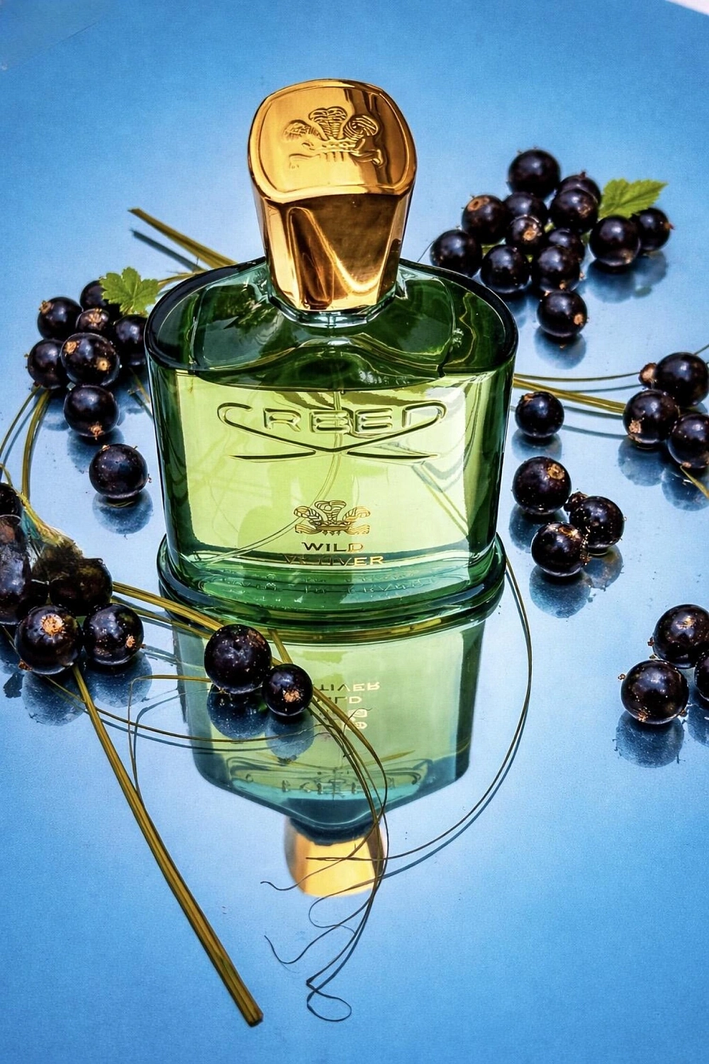 Creed Wild Vetiver