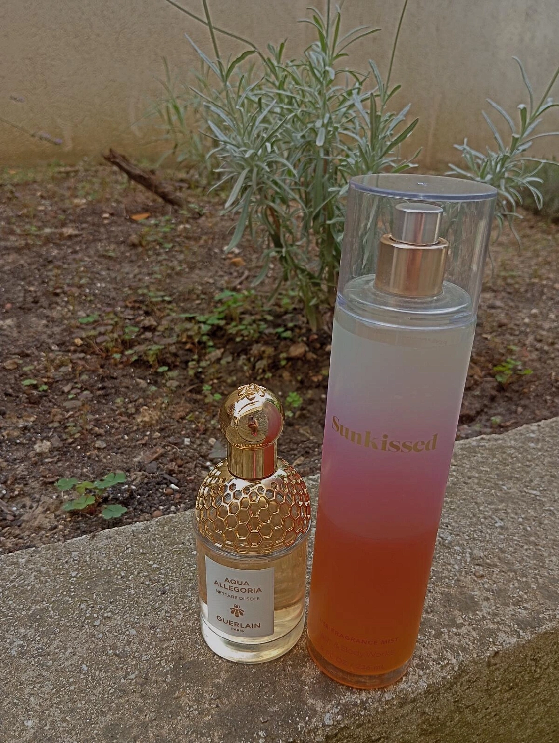 Guerlain Aqua Allegoria Nettare di Sole