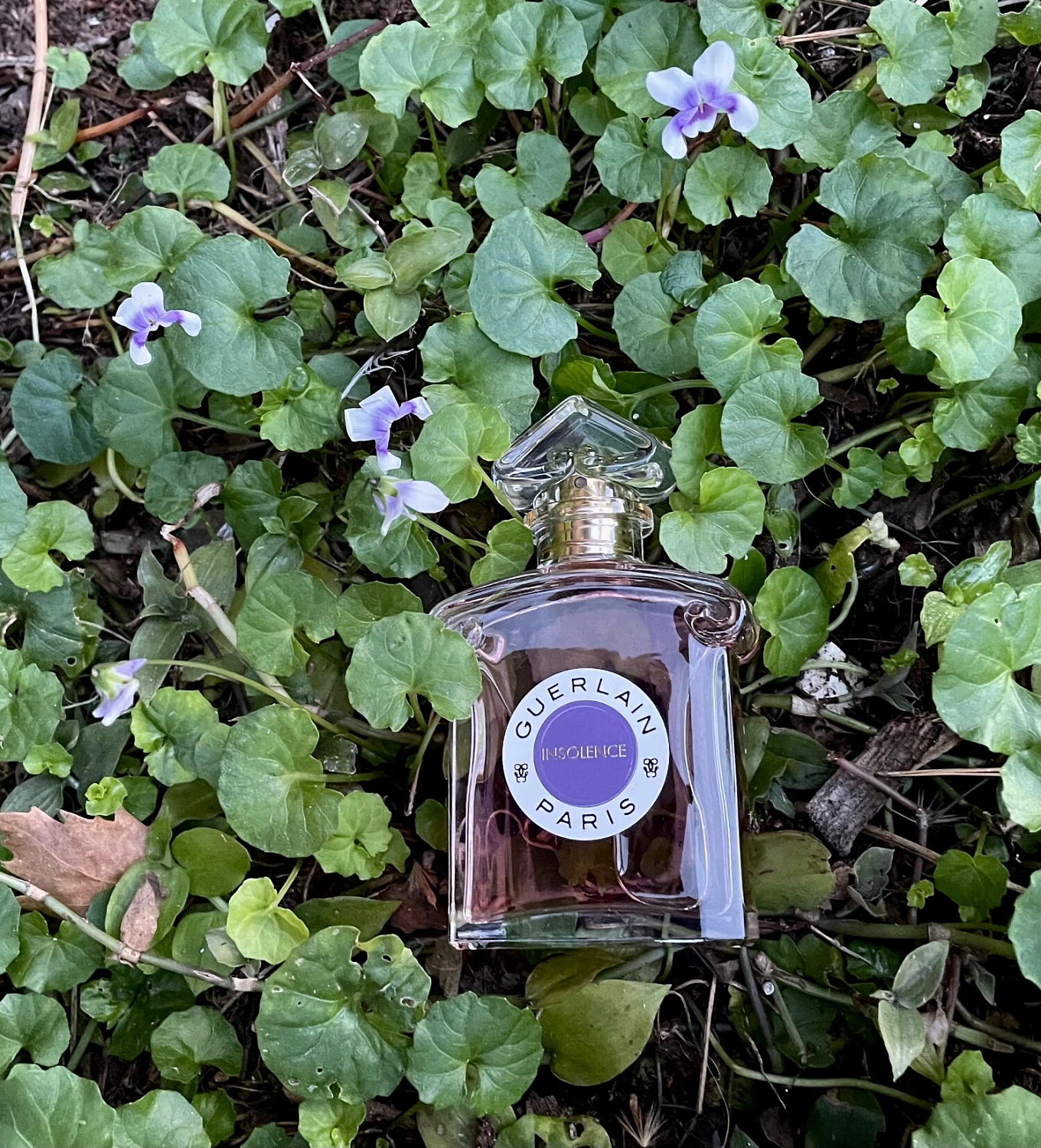 Guerlain Insolence Eau de Toilette