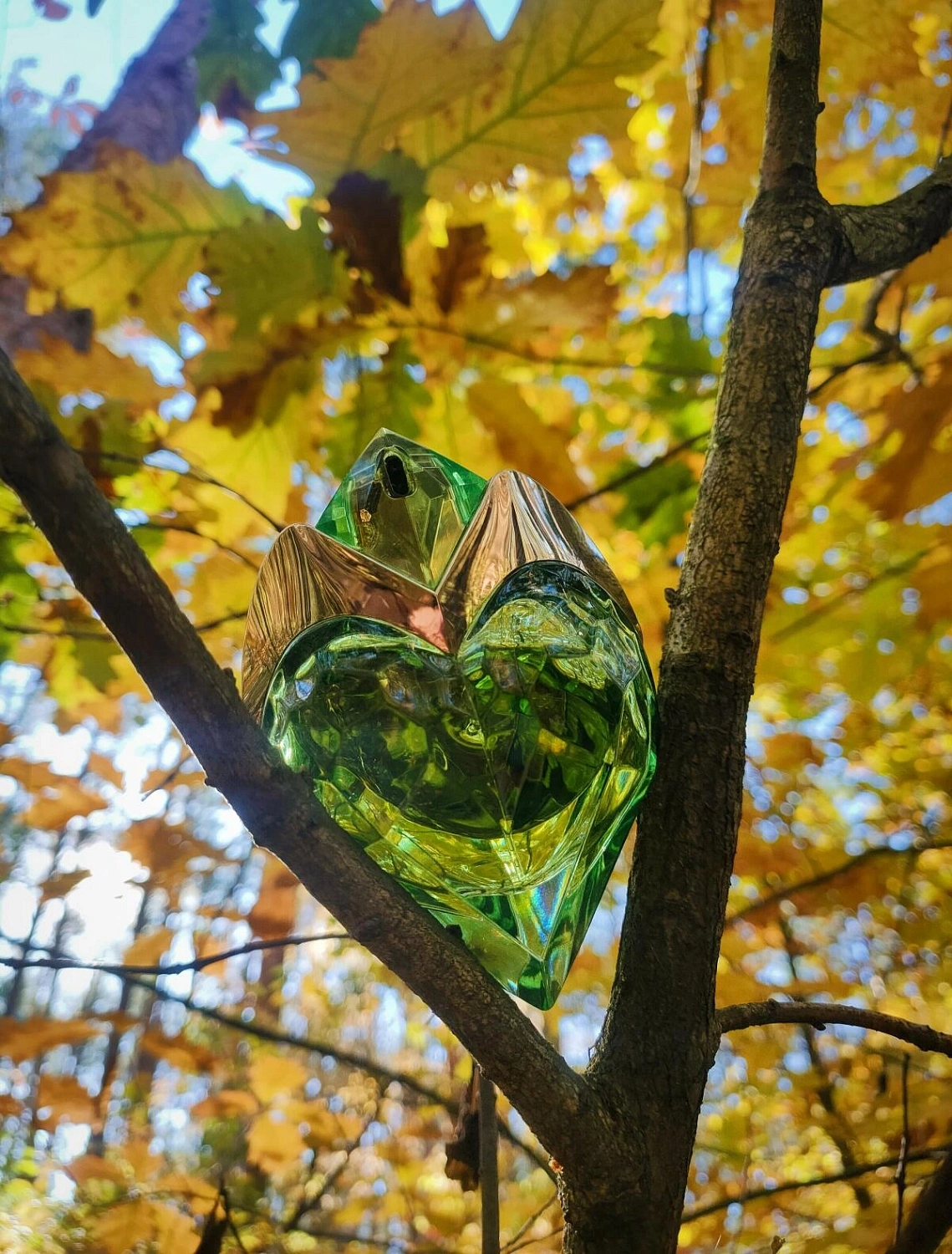 Aura Mugler Eau de Toilette