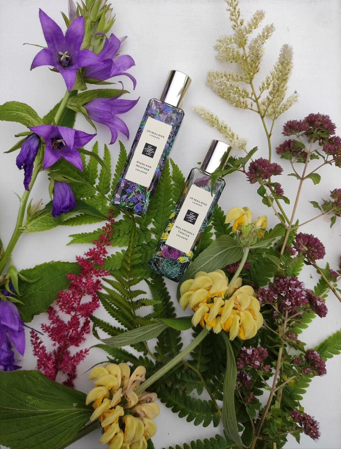 Jo Malone Melancholy Thistle