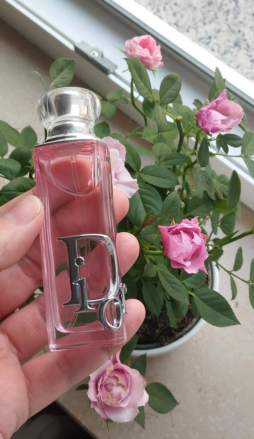 Christian Dior Addict Rosy Glow