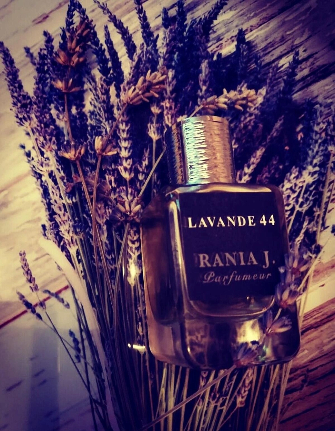 Rania J. Lavande 44
