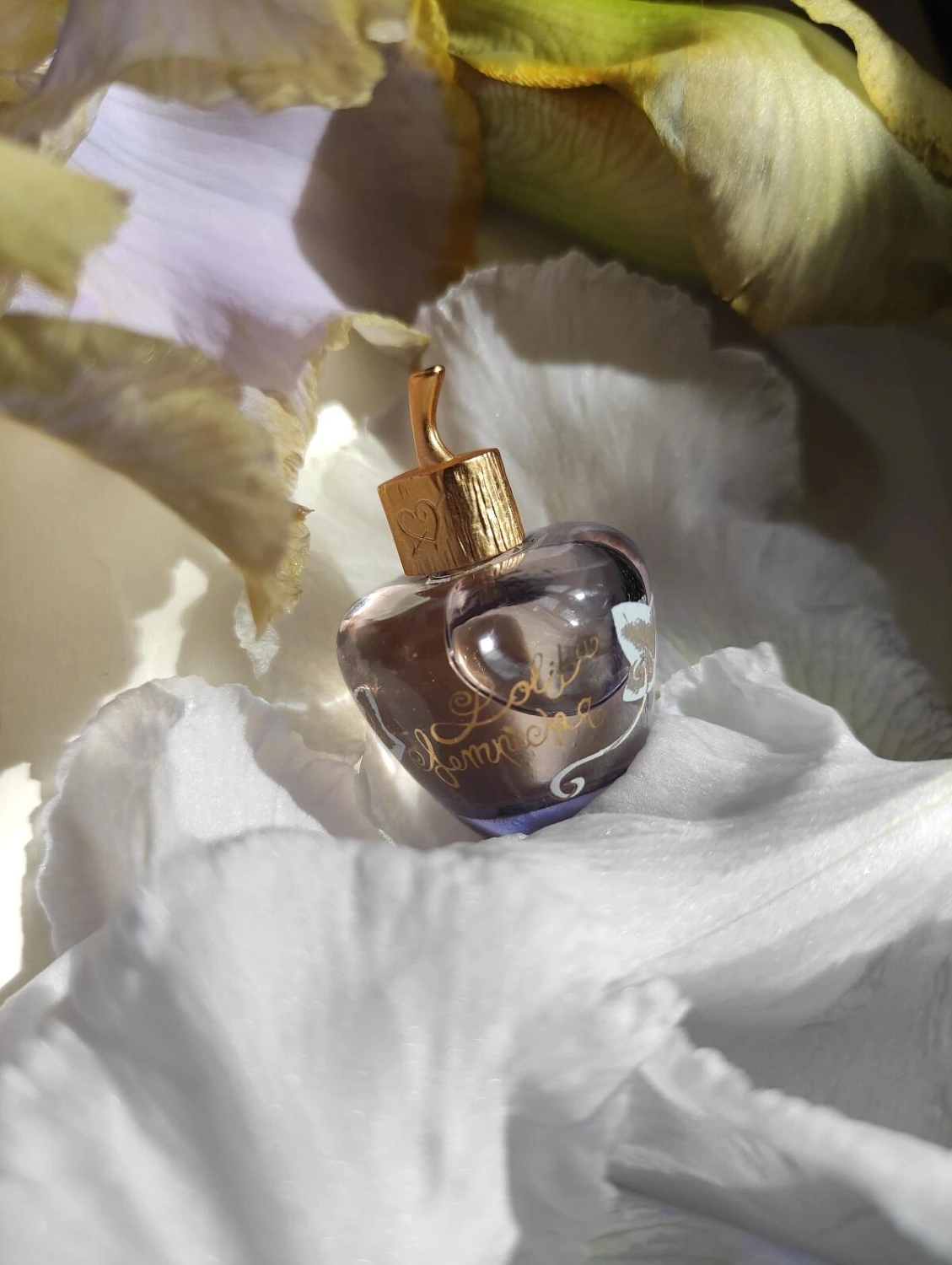 Lolita Lempicka