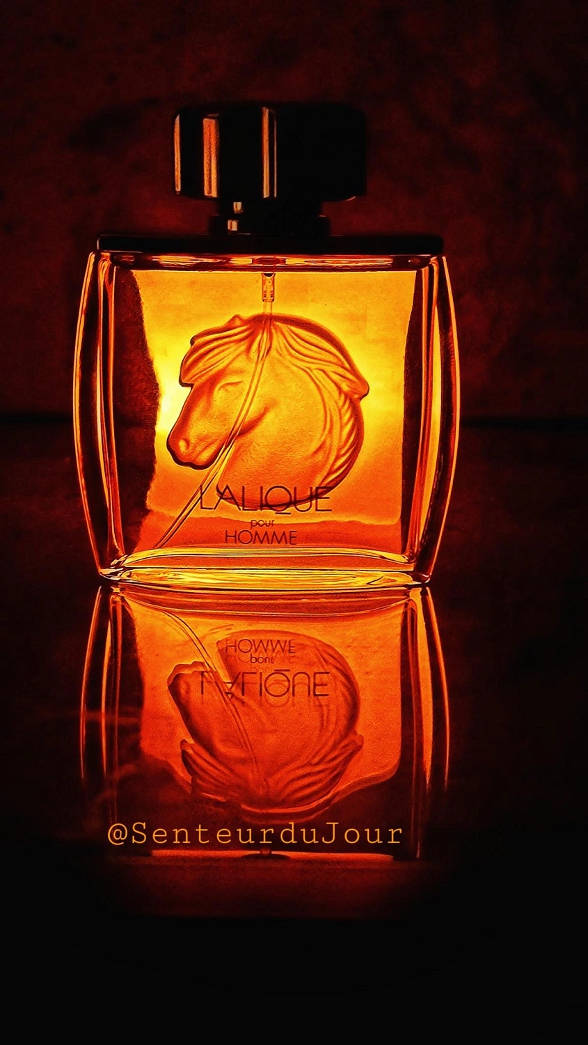Lalique Pour Homme Equus