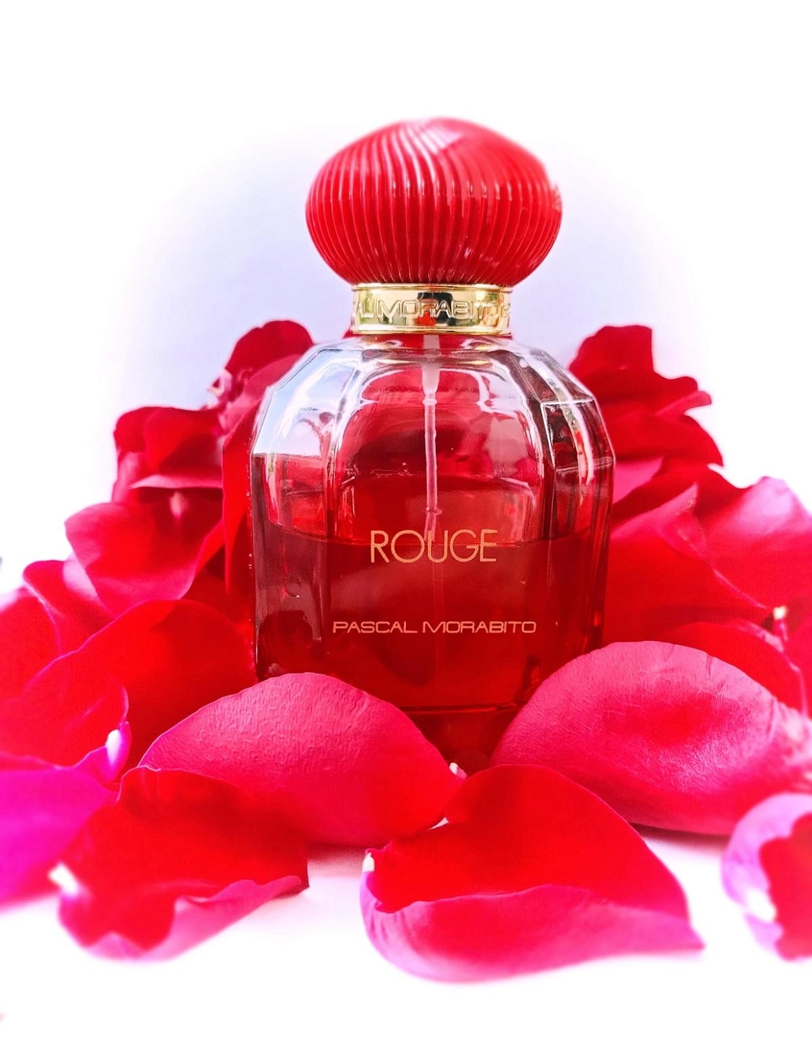 Pascal Morabito Rouge