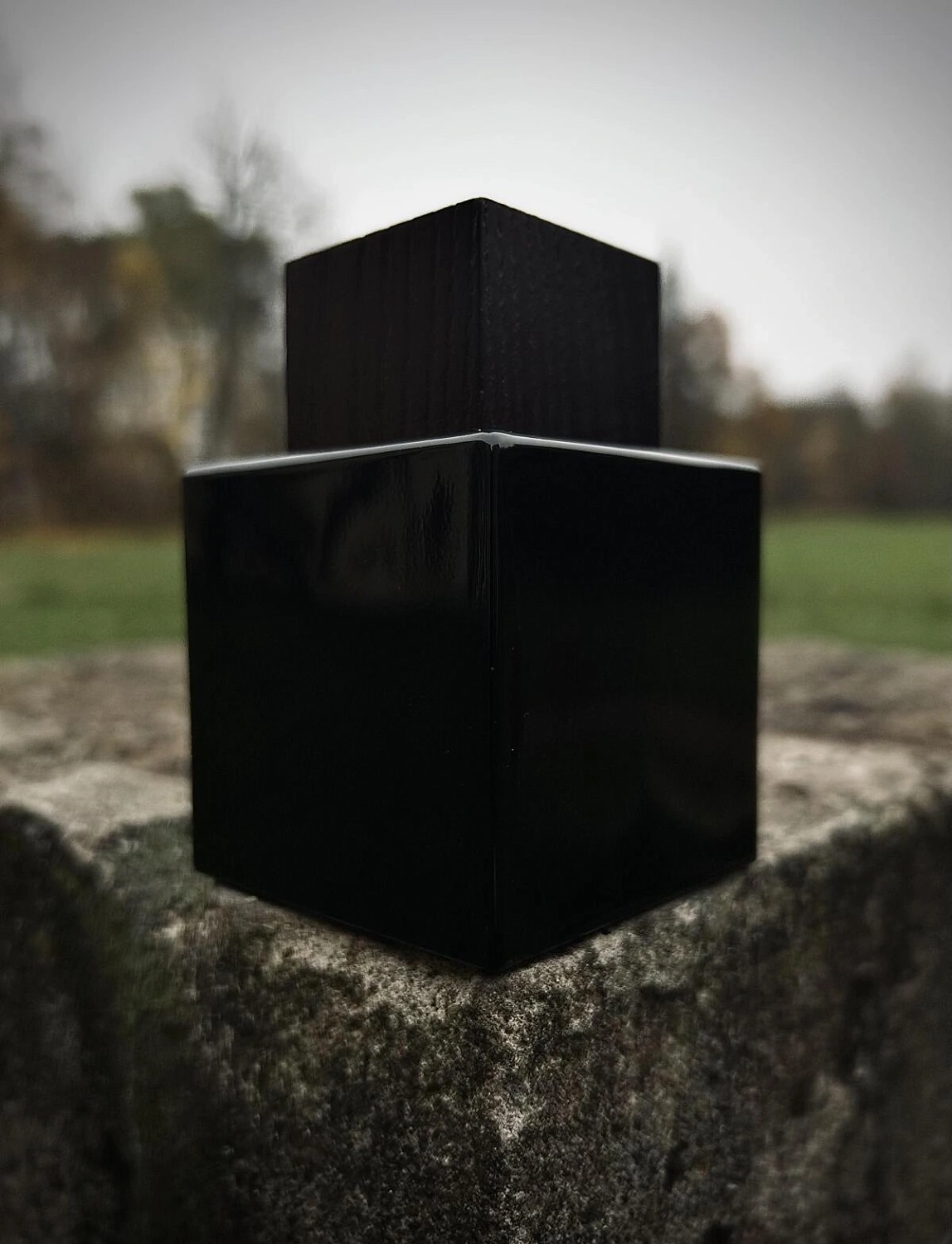 Lalique Encre Noire