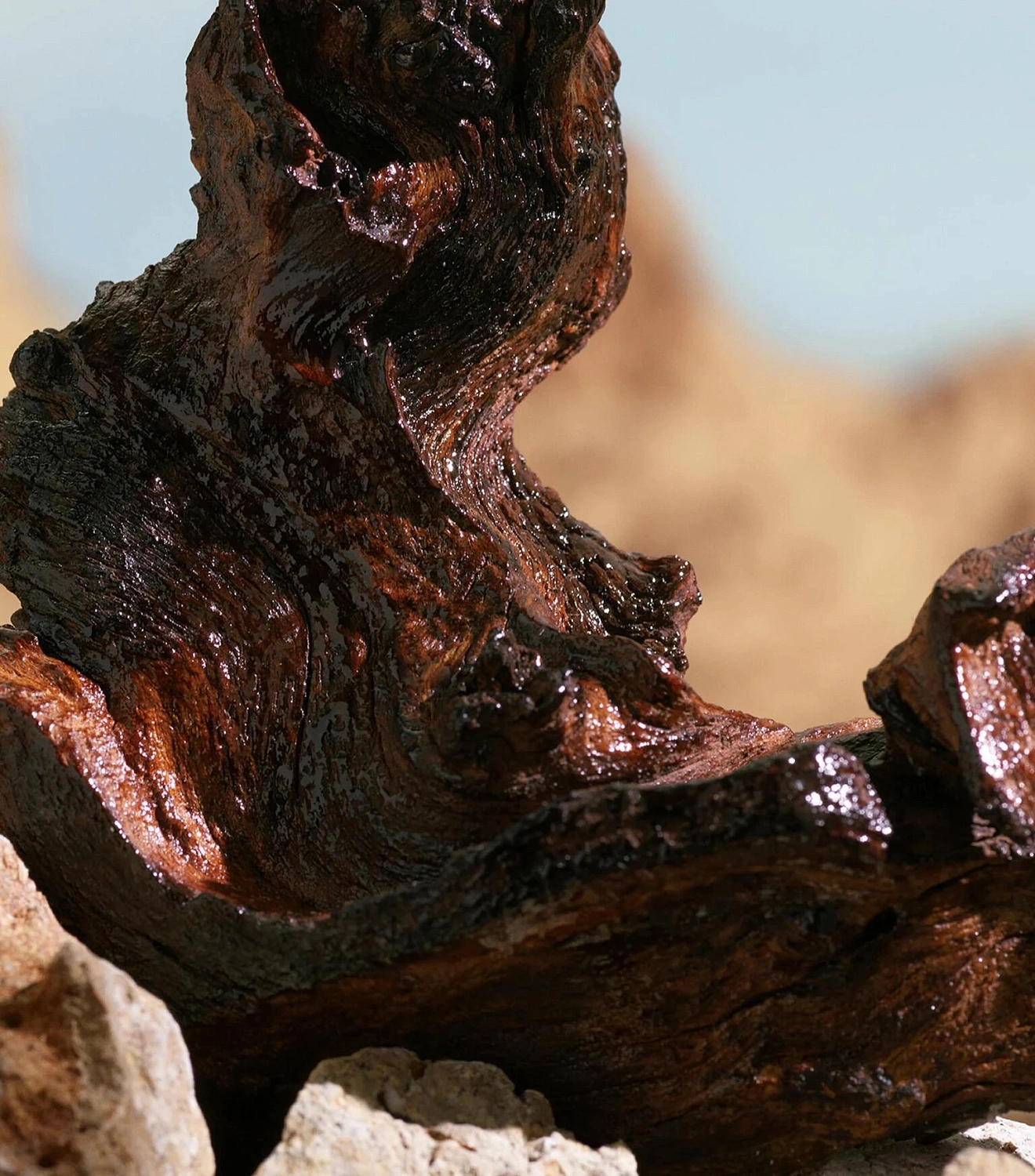 K by Dolce & Gabbana Elixir
