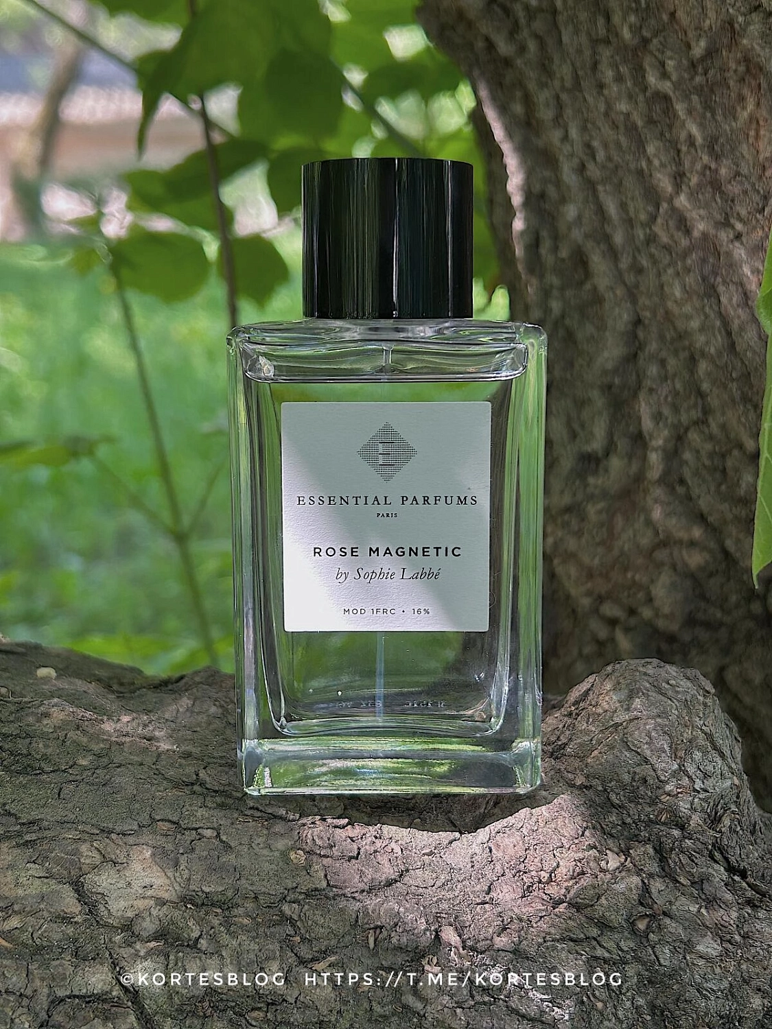 Essential Parfums Rose Magnetic