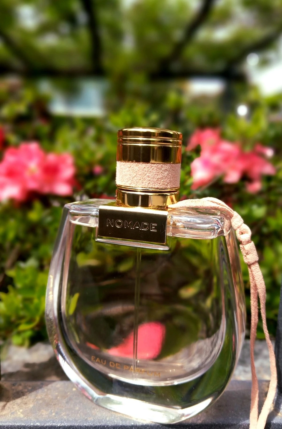 Chloé Nomade
