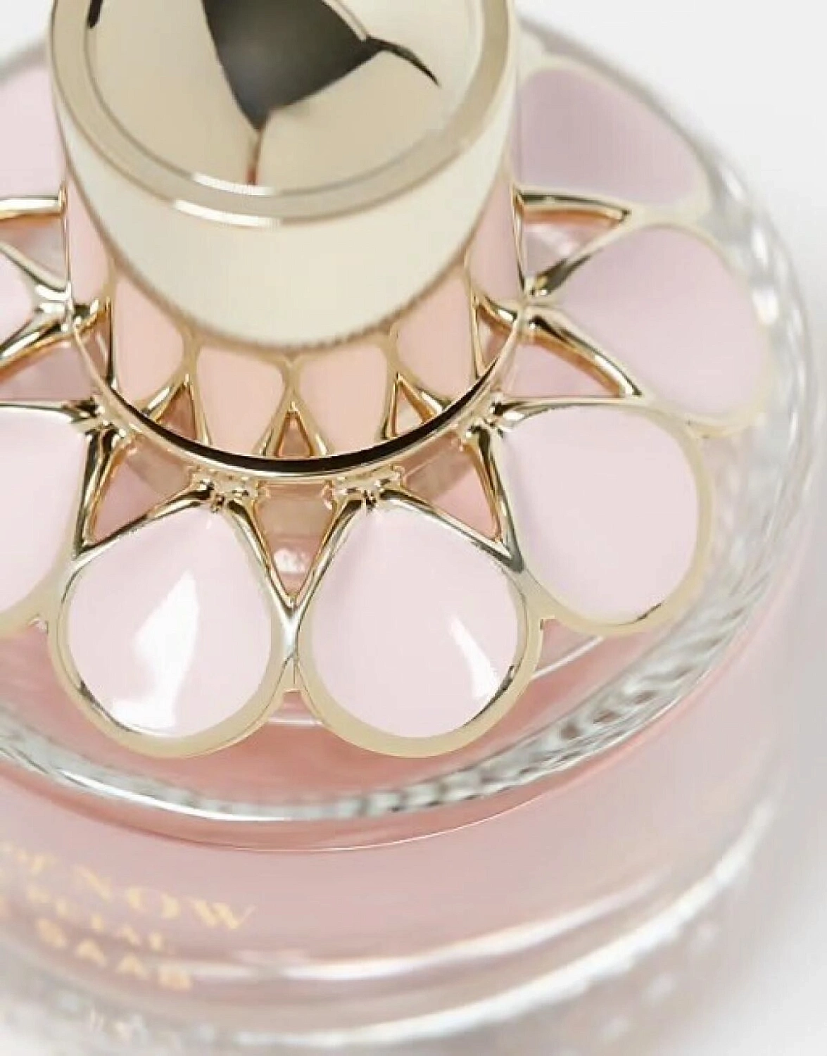 Elie Saab Girl of Now Rose Petal