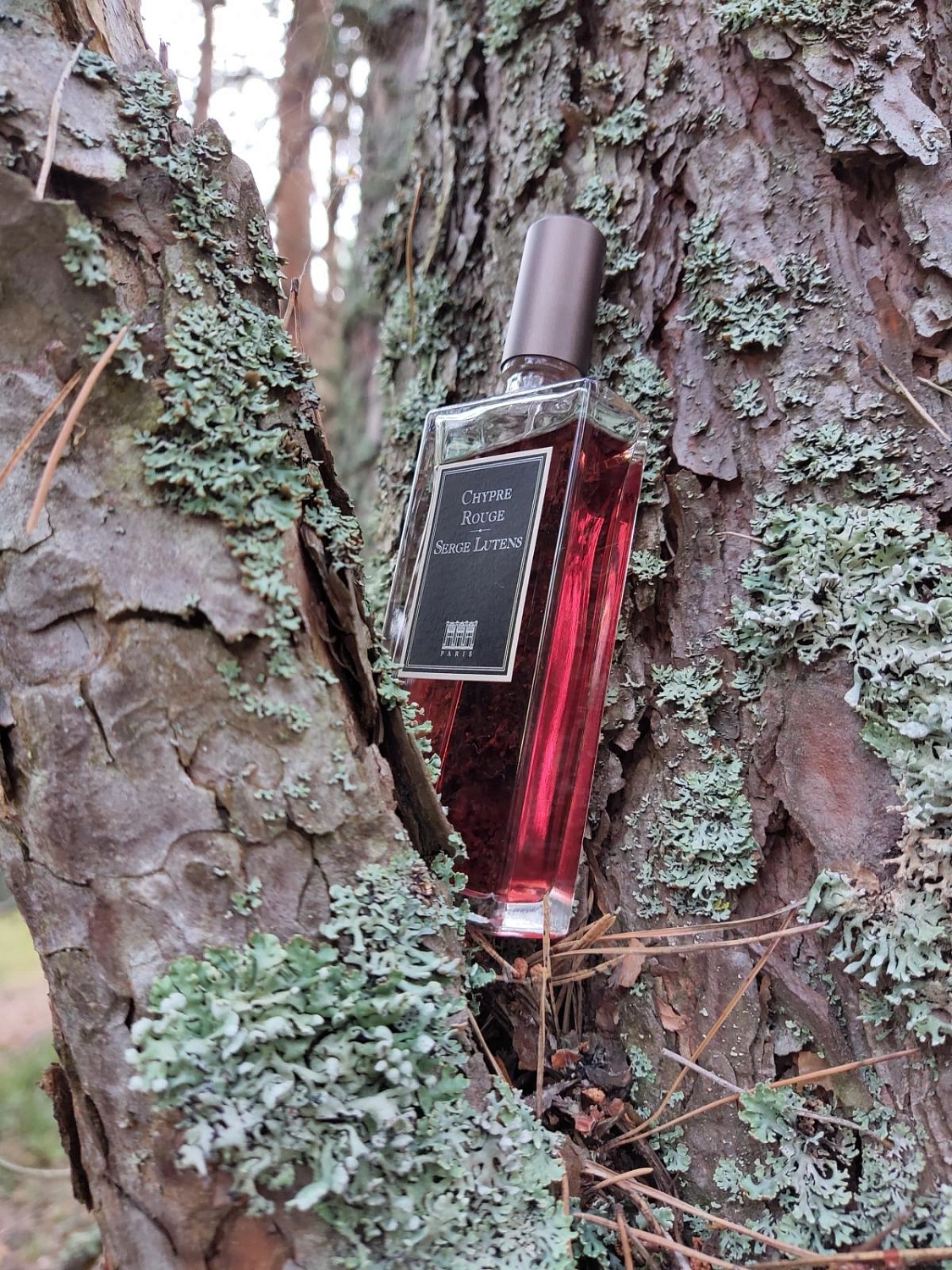 Serge Lutens Chypre Rouge