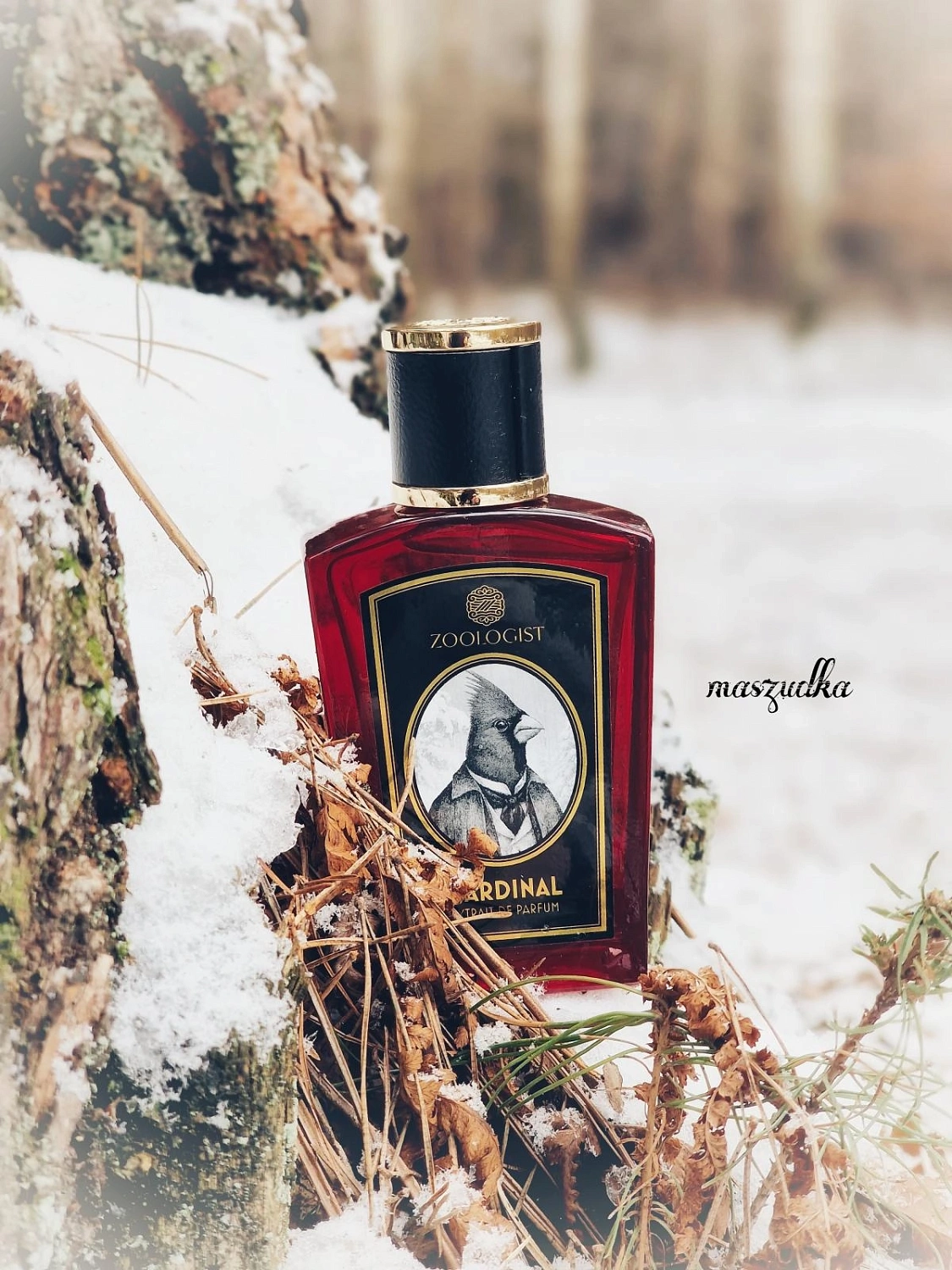 Zoologist Perfumes Cardinal