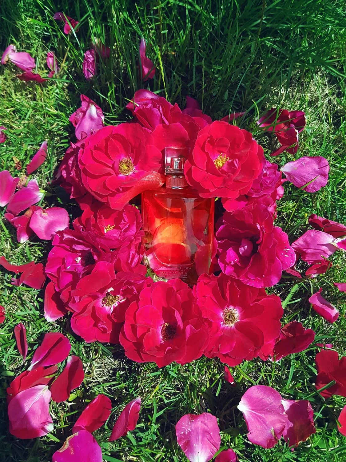 Lancôme La Vie est Belle en Rose