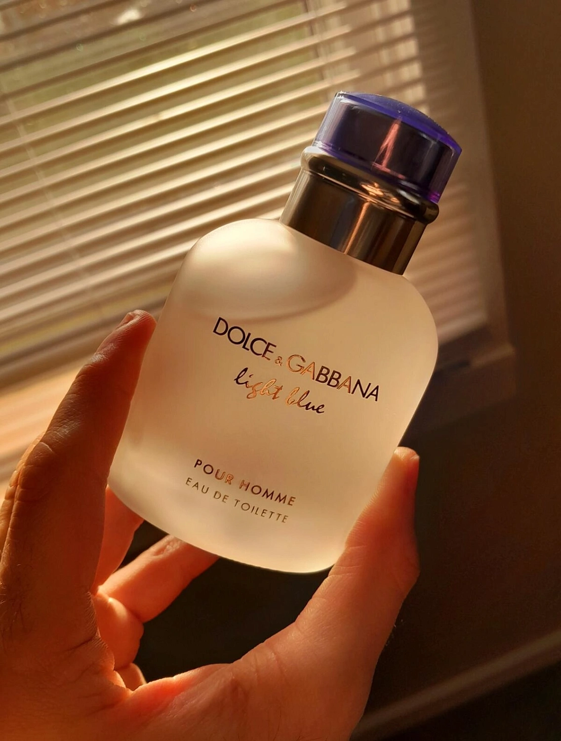 Dolce & Gabbana Light Blue Pour Homme