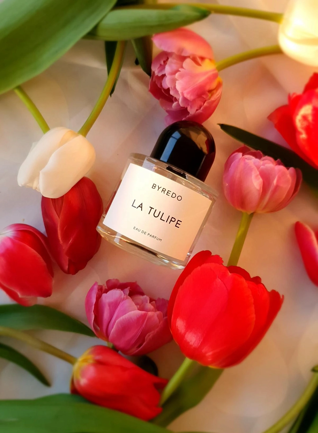 BYREDO La Tulipe