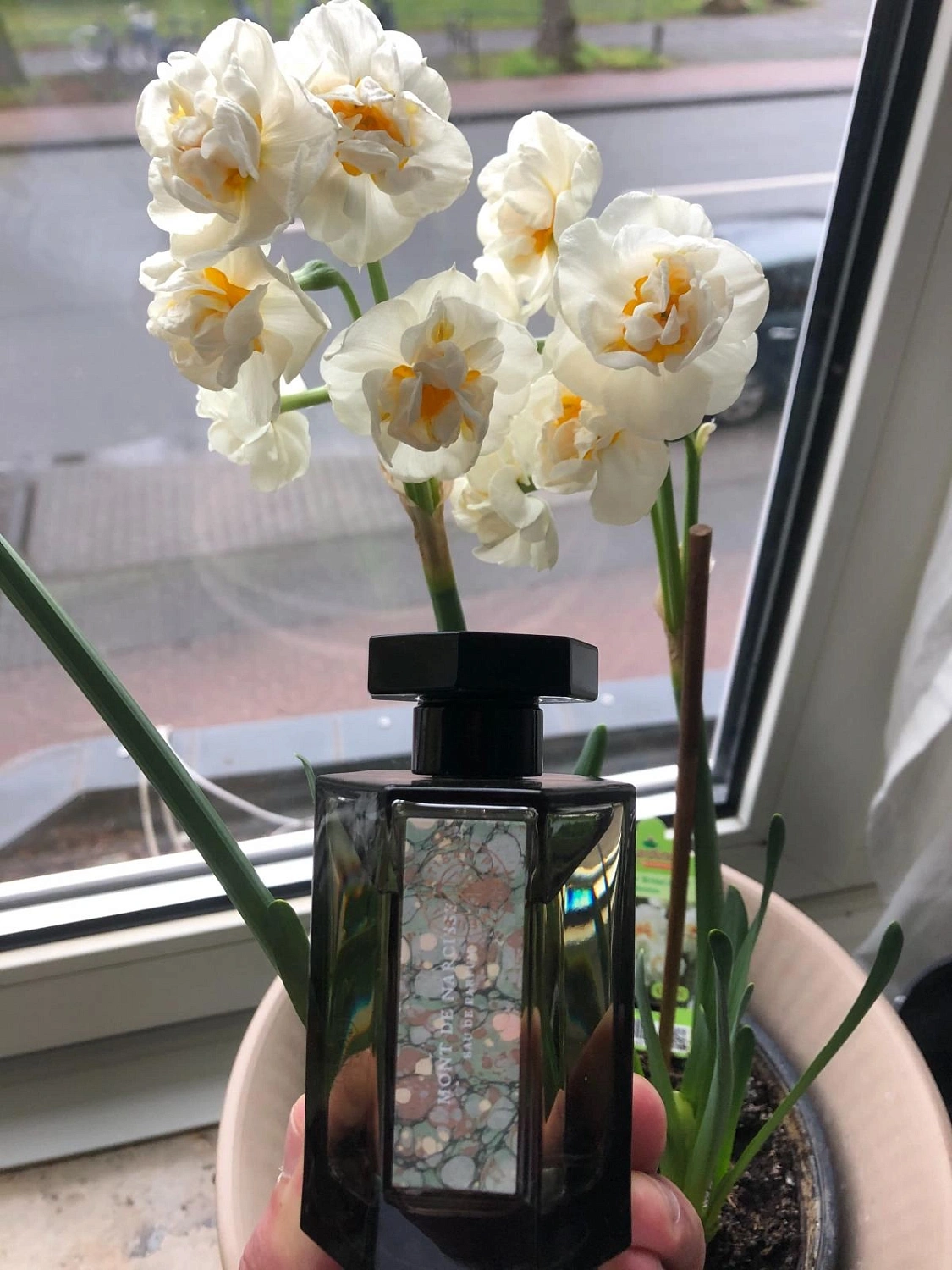 L'Artisan Parfumeur Mont de Narcisse