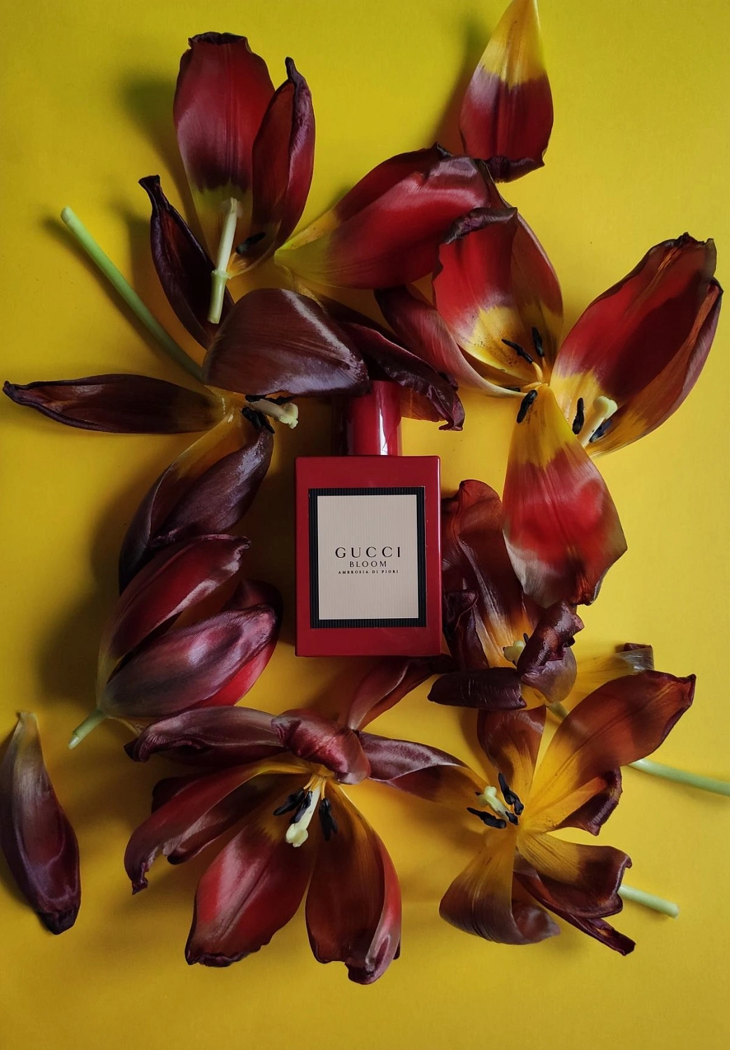 Gucci Bloom Ambrosia Di Fiori