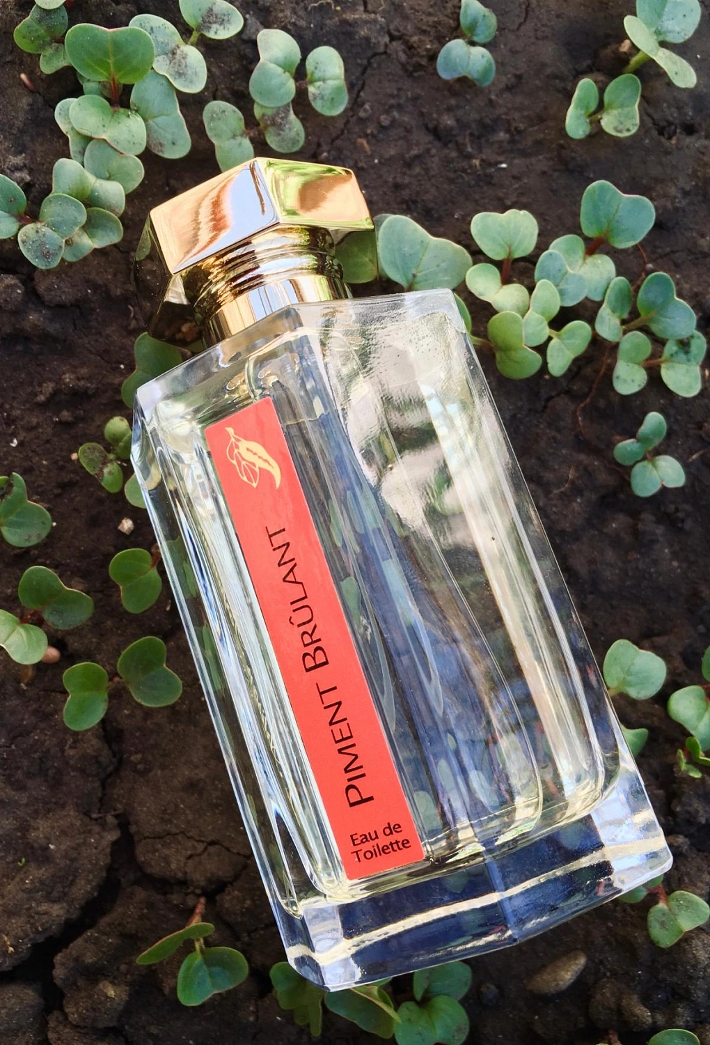L'Artisan Parfumeur Piment Brulant