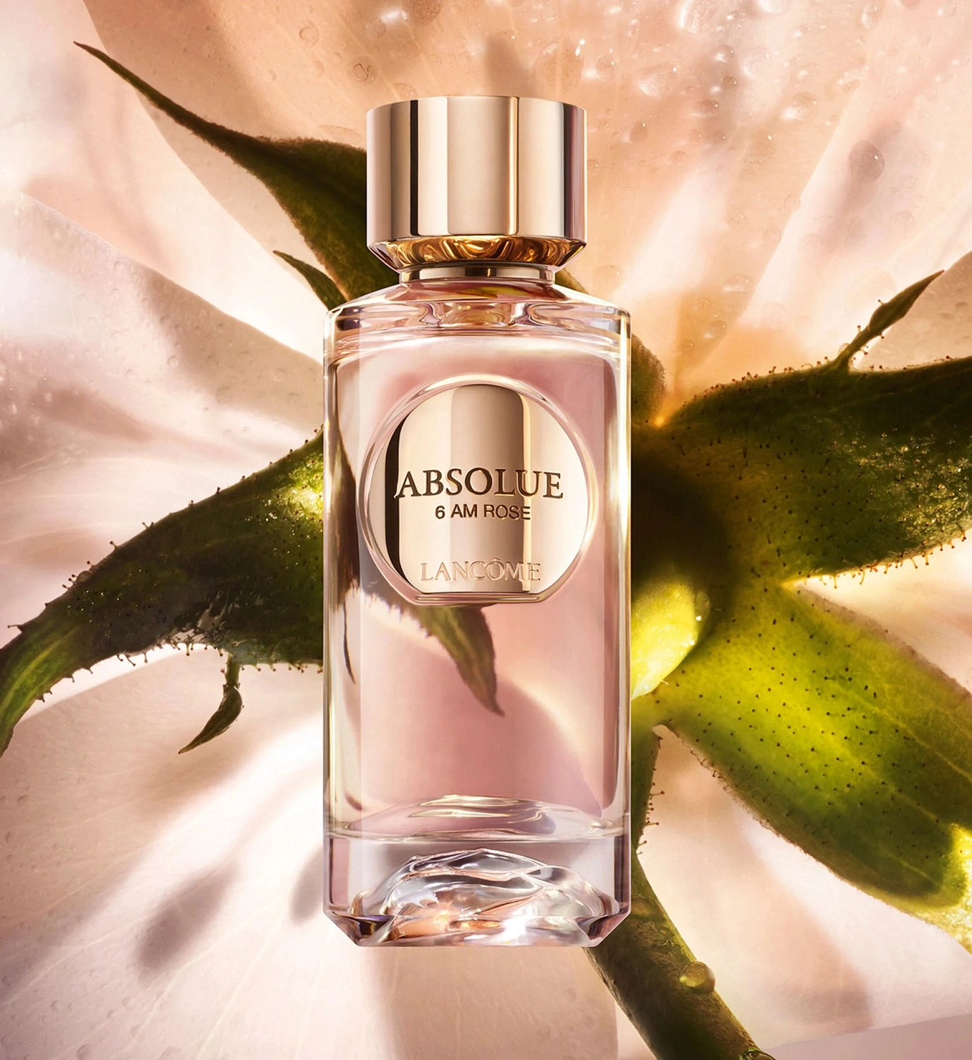 Lancôme Absolue 6AM Rose