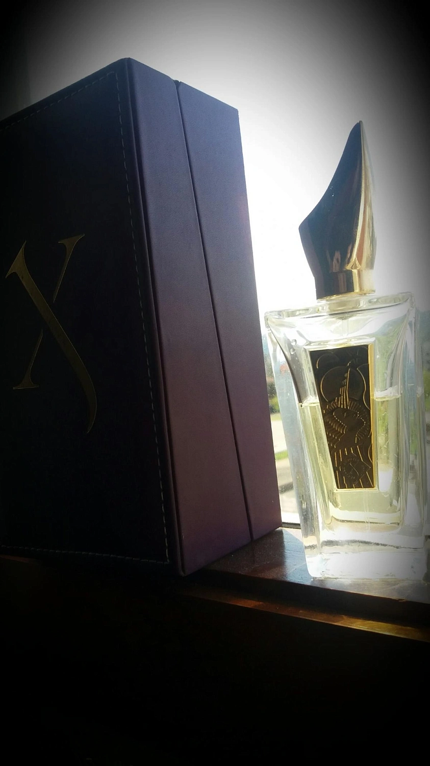 Xerjoff Shooting Stars Collection: Uden