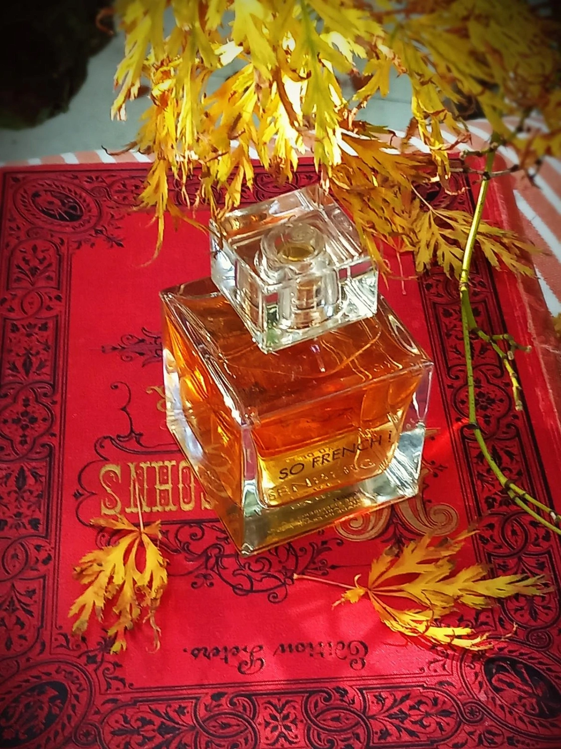 Eisenberg So French!