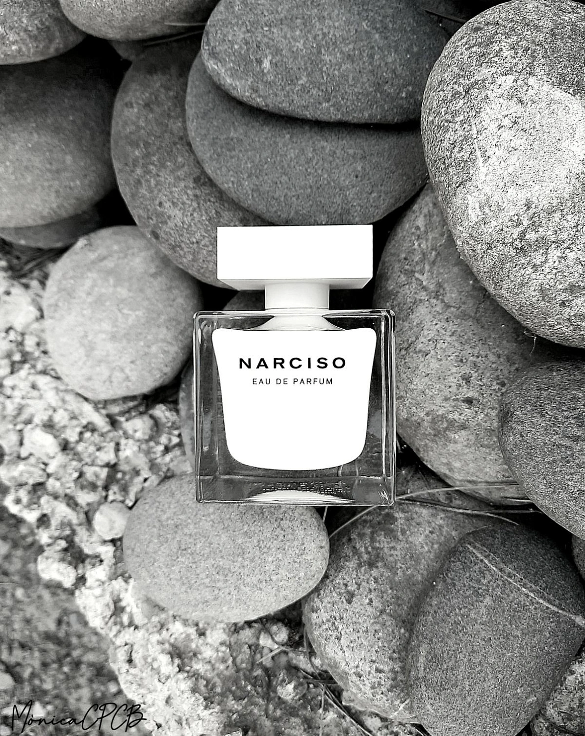 Narciso Rodriguez Narciso