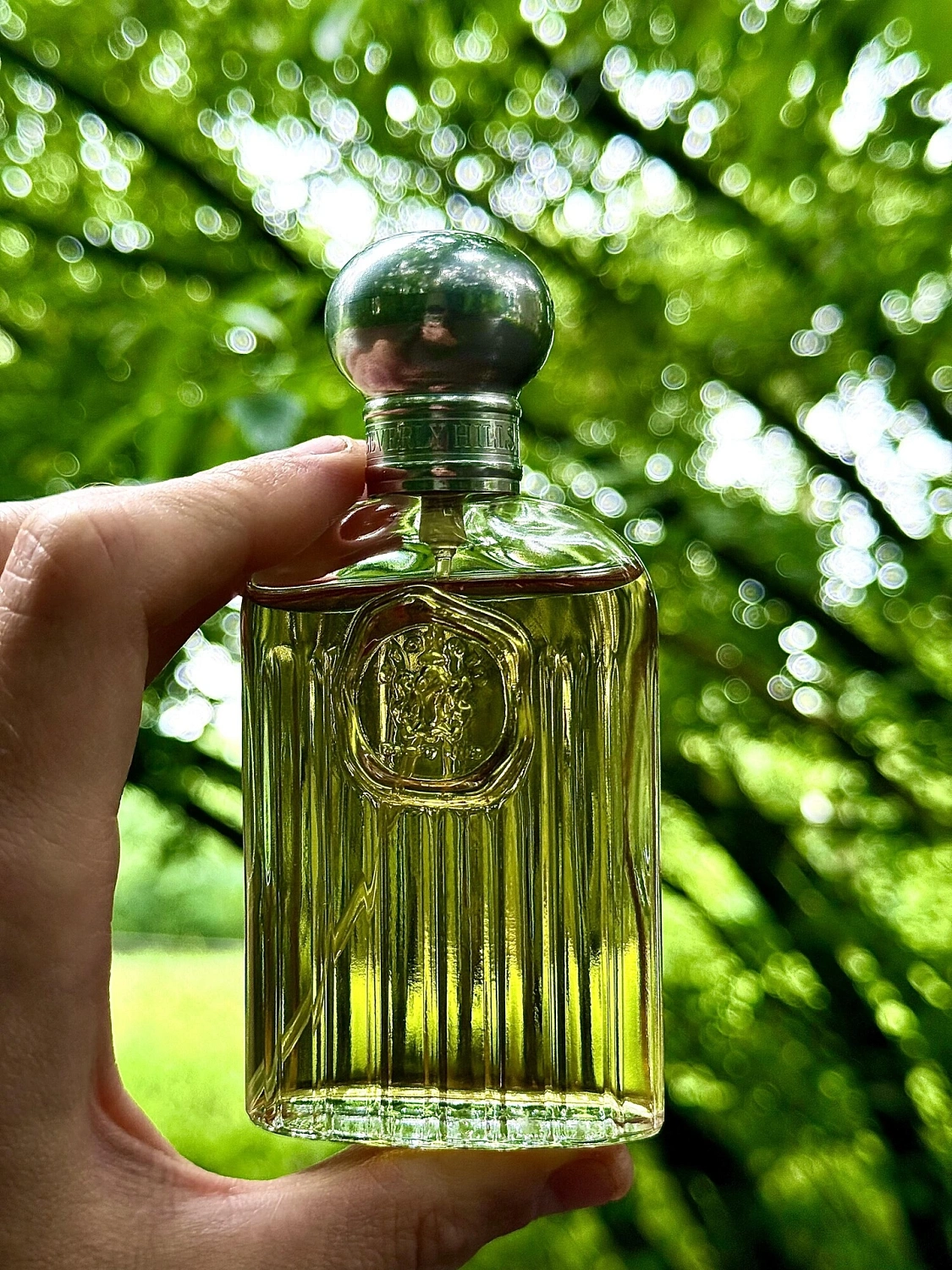 Giorgio Beverly Hills Giorgio for Men