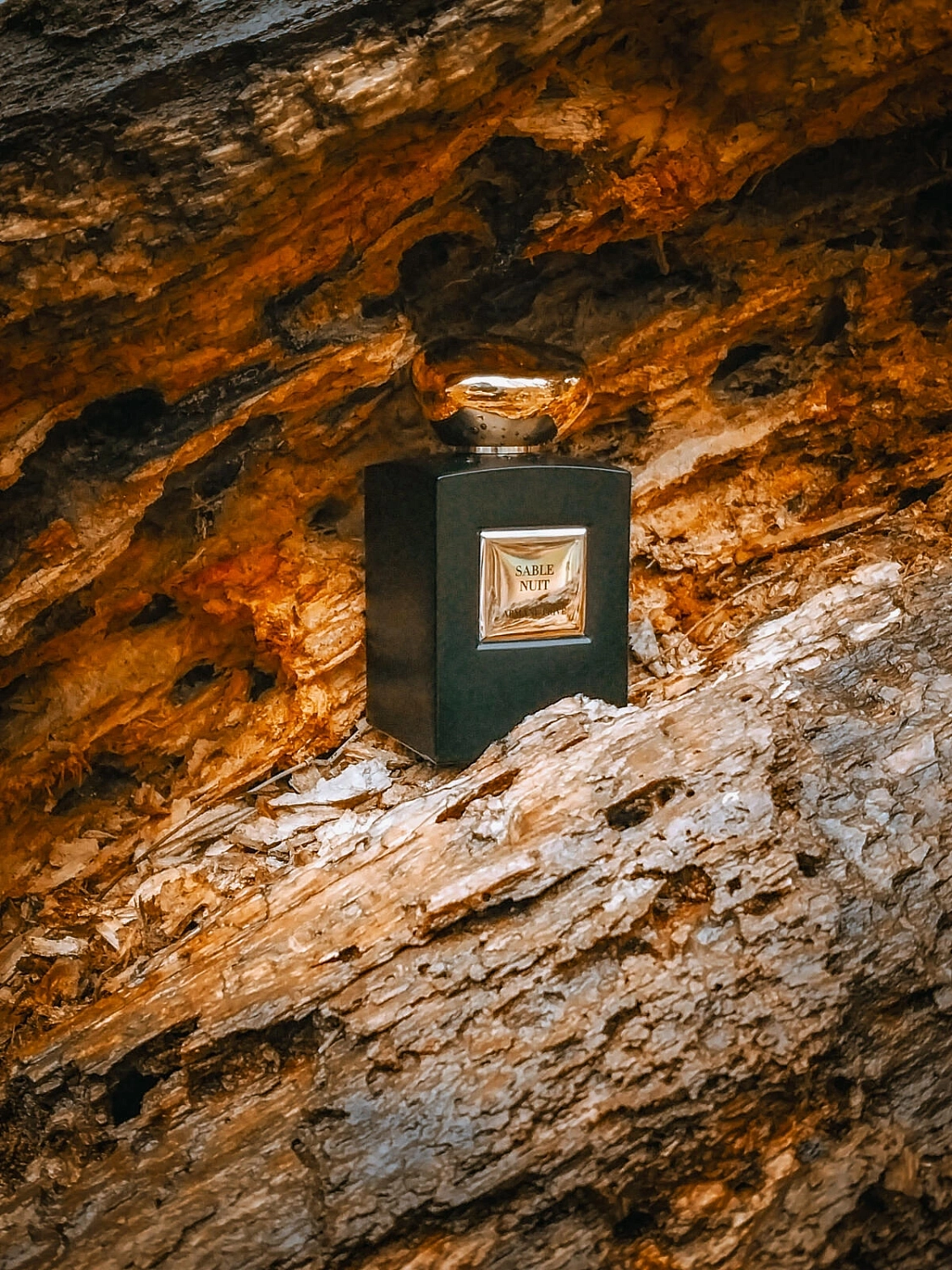 Armani Sable Nuit