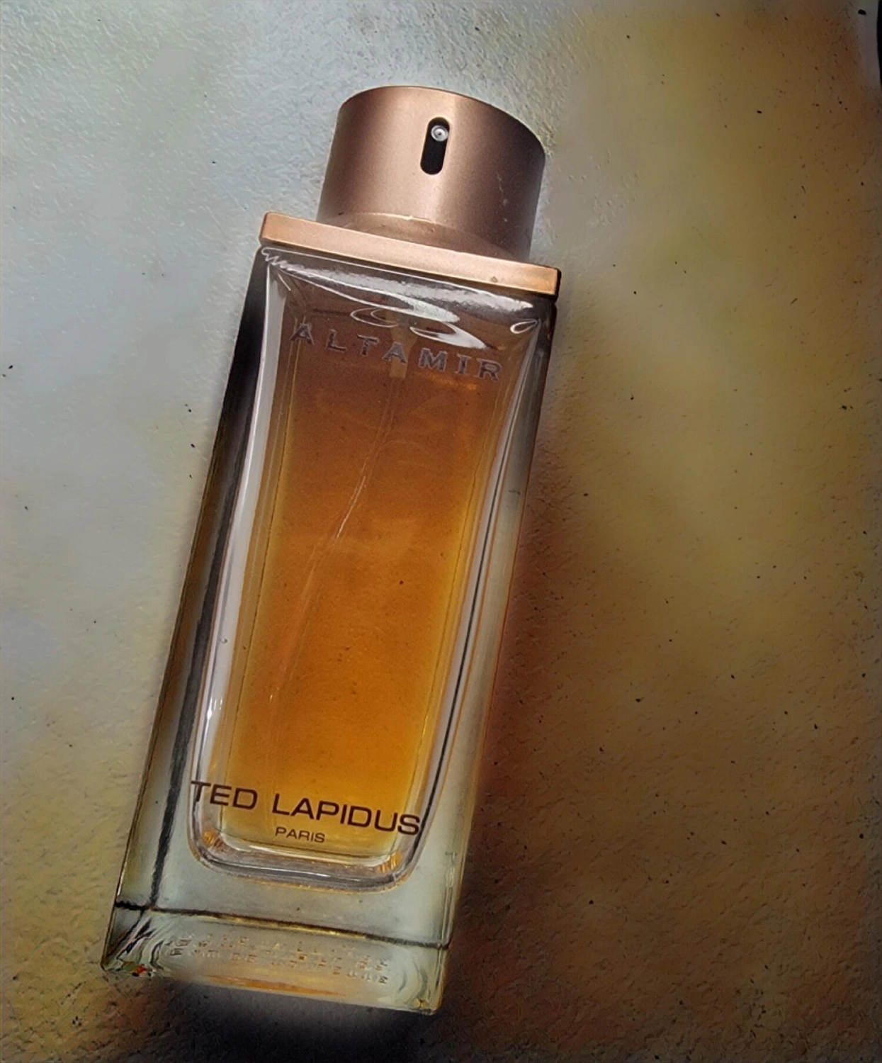 Ted Lapidus Altamir