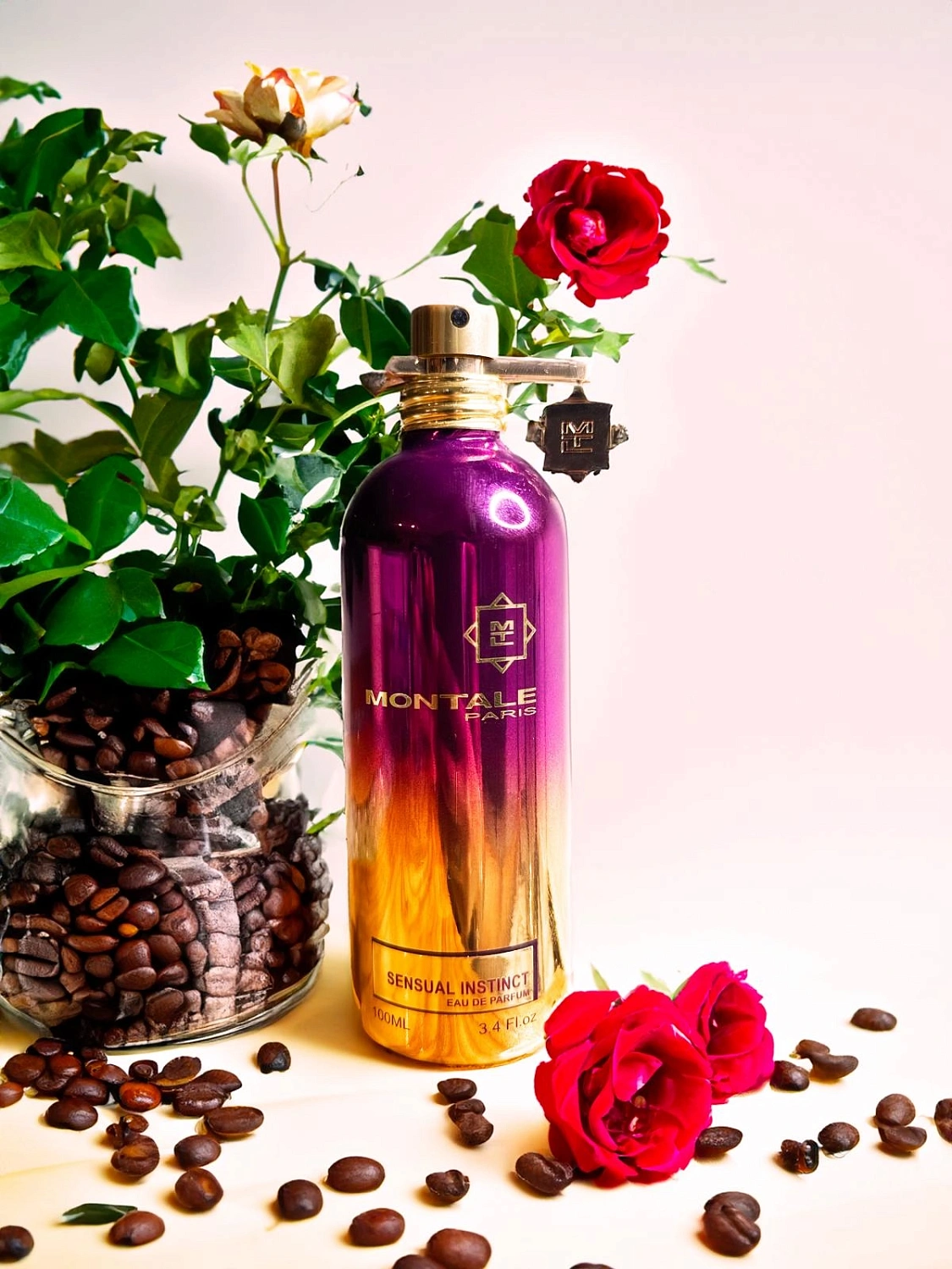Montale Sensual Instinct