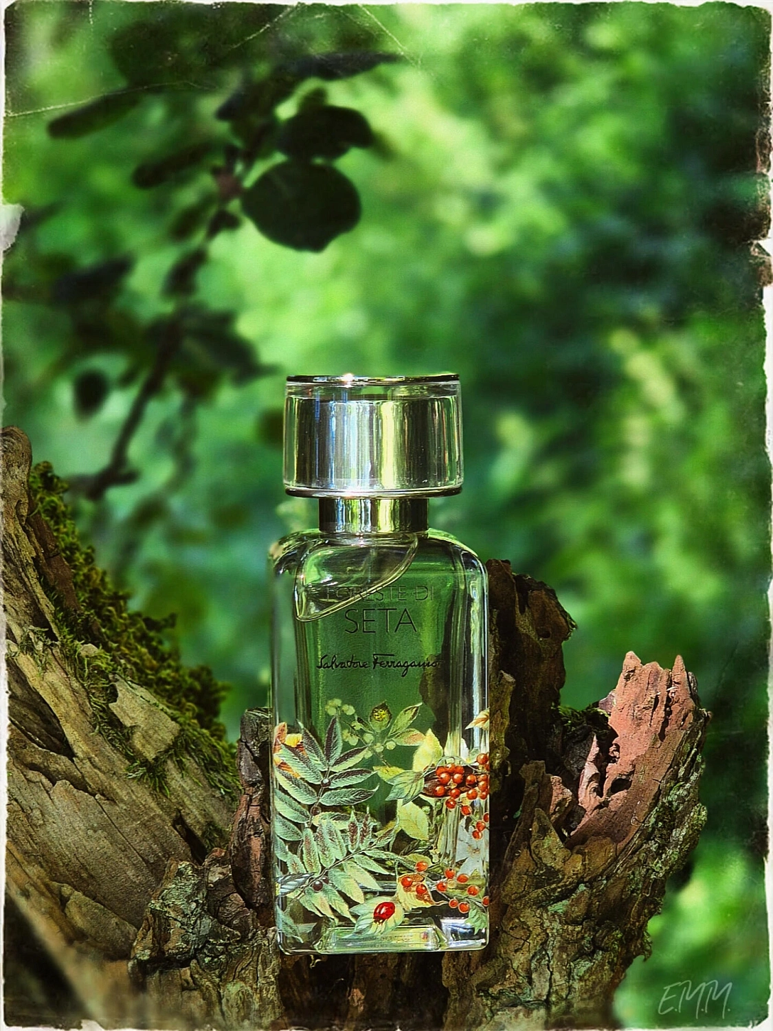 Salvatore Ferragamo Foreste di Seta