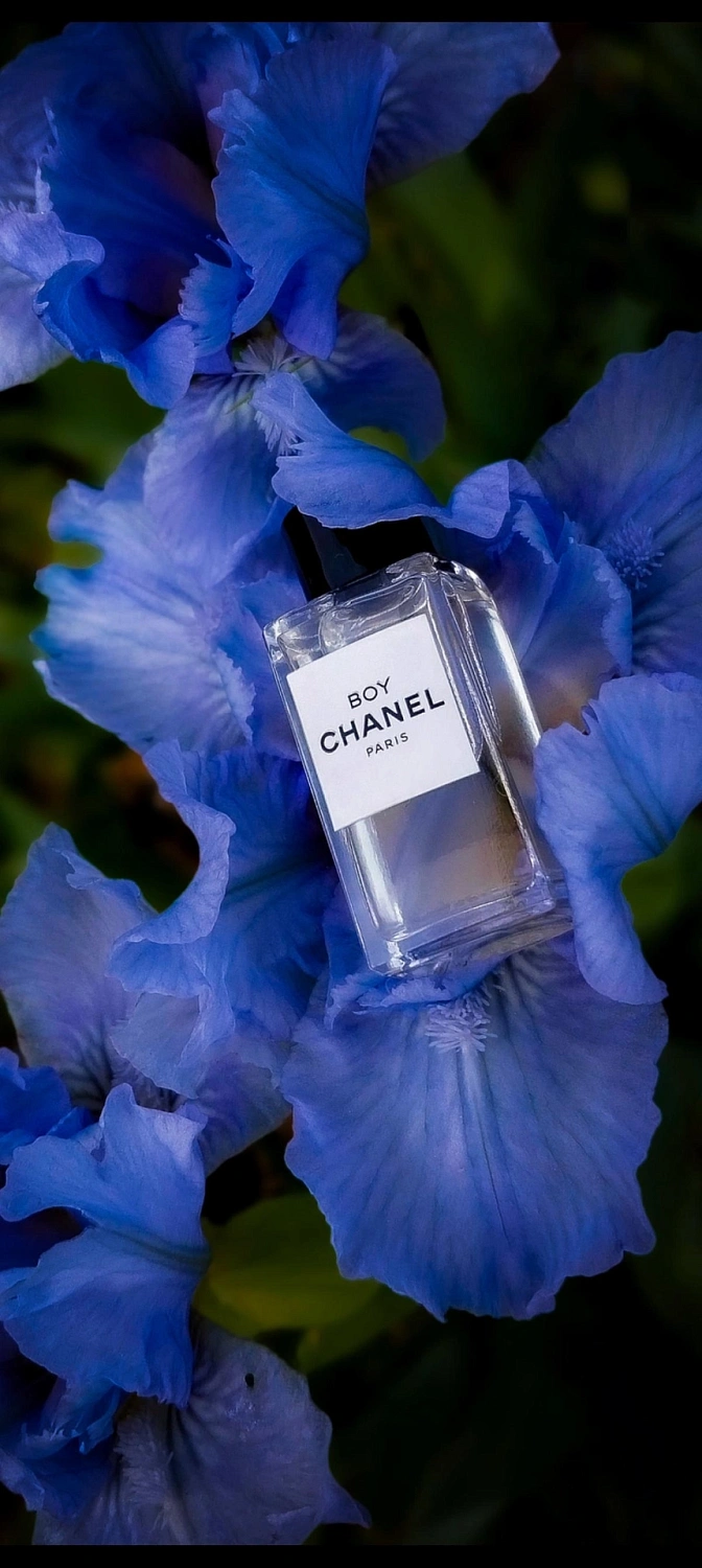 Chanel Boy