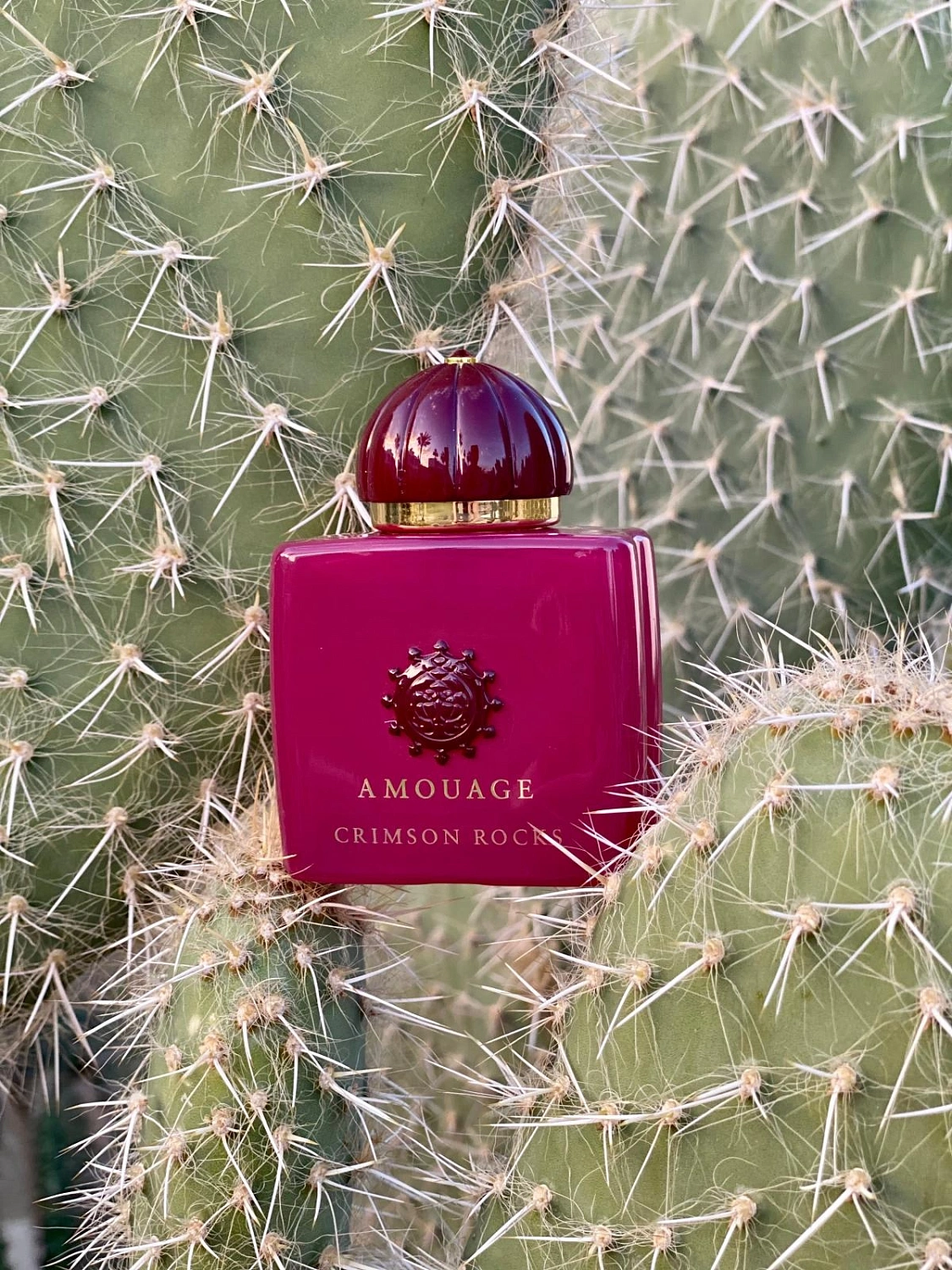 Amouage Crimson Rocks