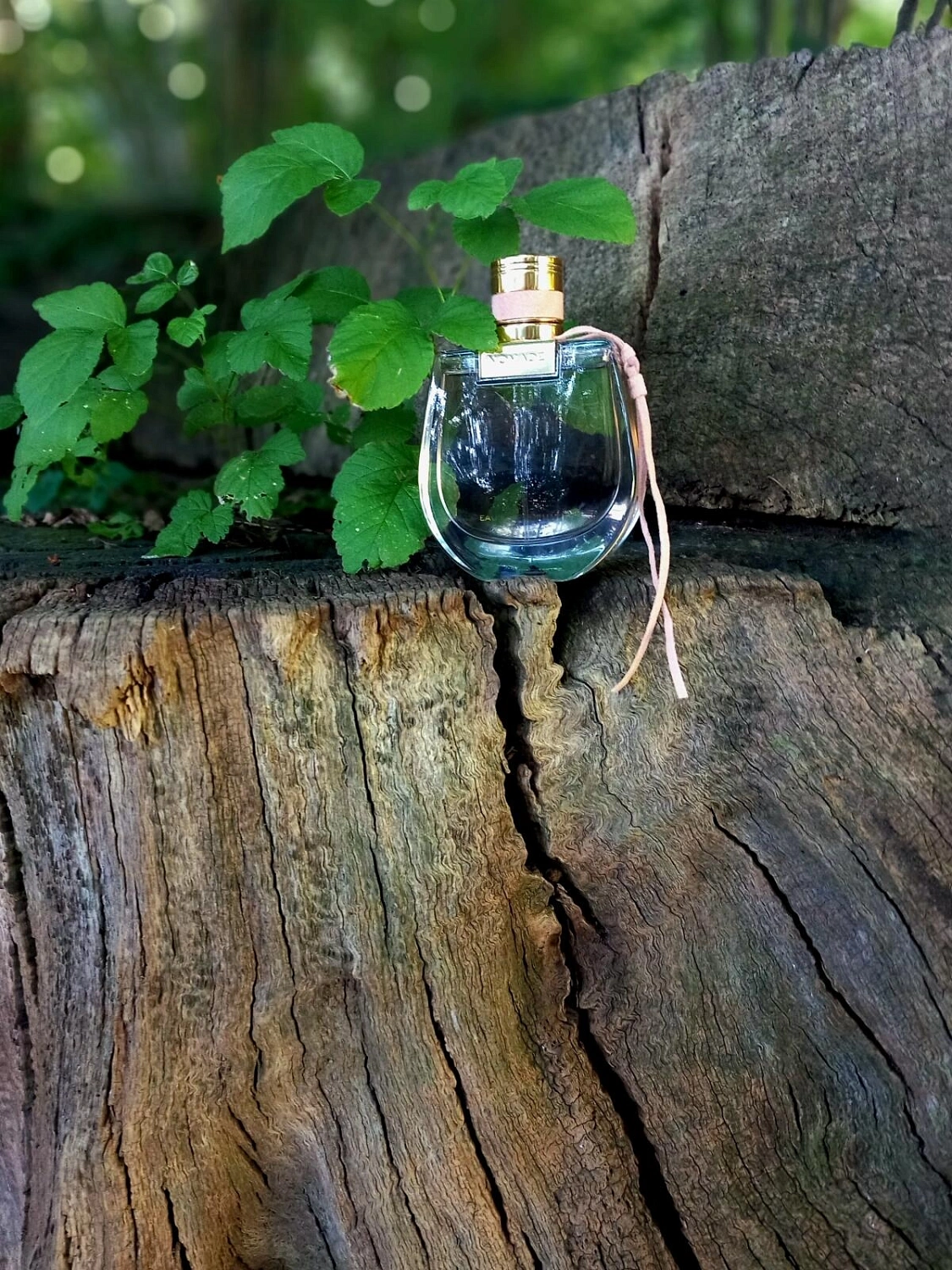 Chloé Nomade